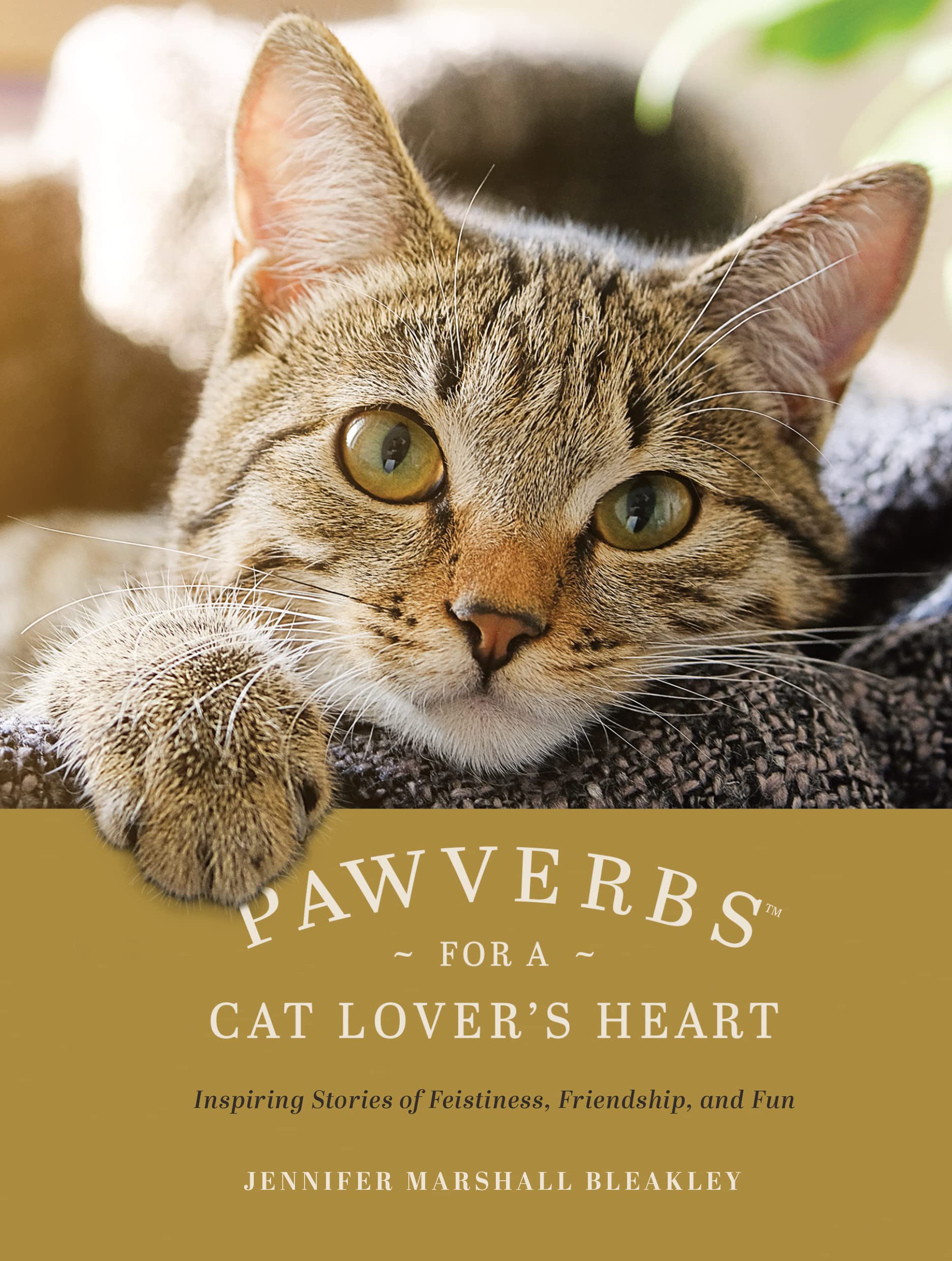 Pawverbs for a Cat Lover's Heart: Inspiring Stories of Feistiness, Friendship, and Fun The Happy Book Stack