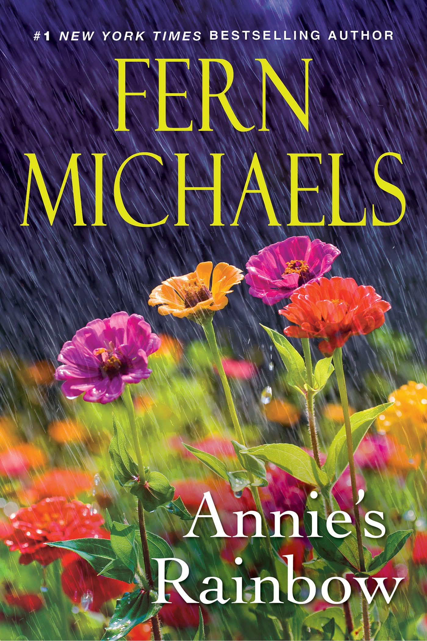 Annie's Rainbow: A Thrilling Tale of Love and Justice The Happy Book Stack