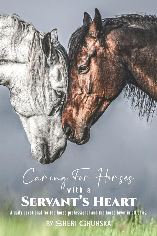 Caring for Horses with a Servant's Heart: A Daily Devotional for the horse professional & the horse lover in all of us The Happy Book Stack