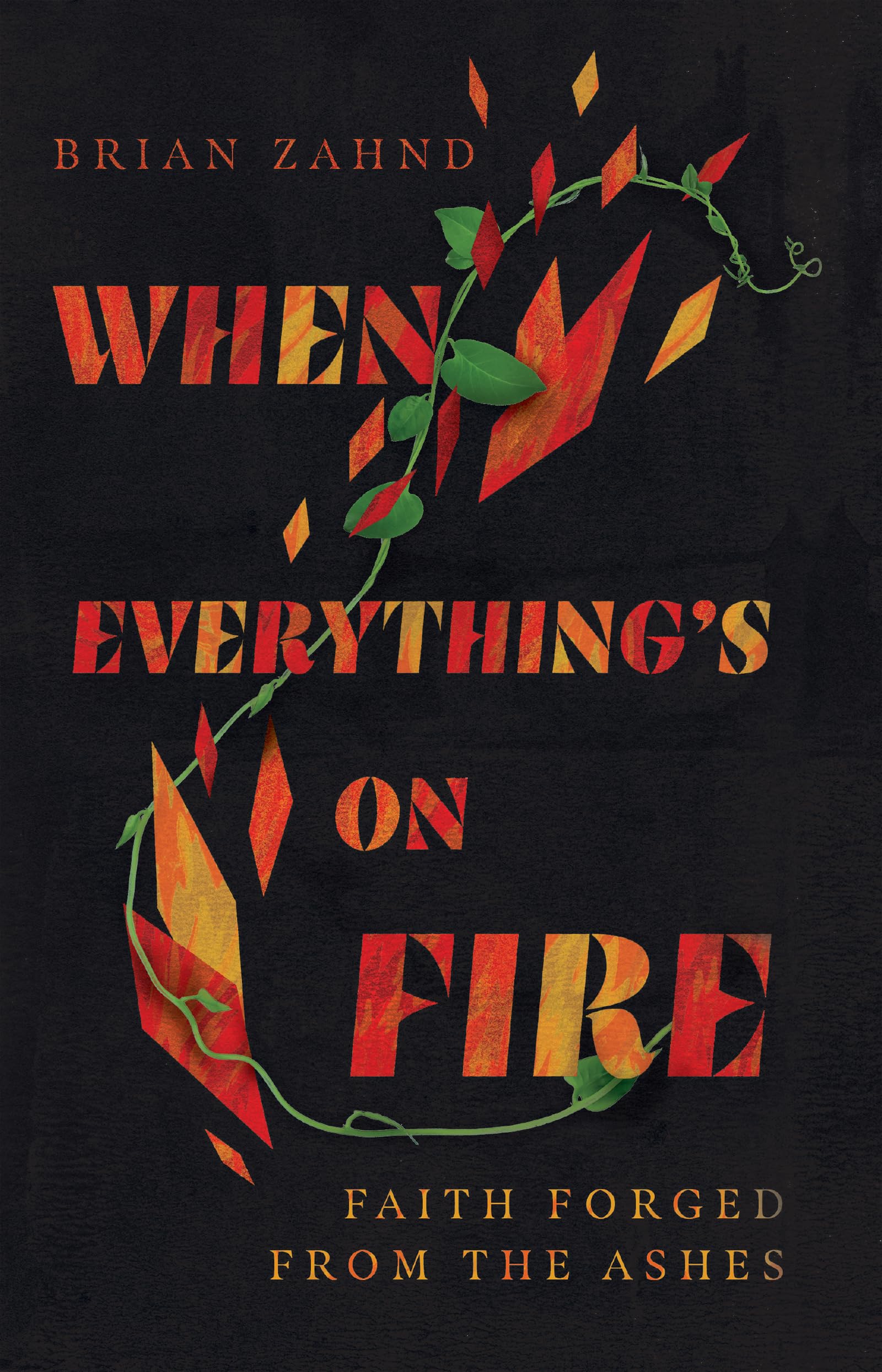 When Everything's on Fire: Faith Forged from the Ashes The Happy Book Stack