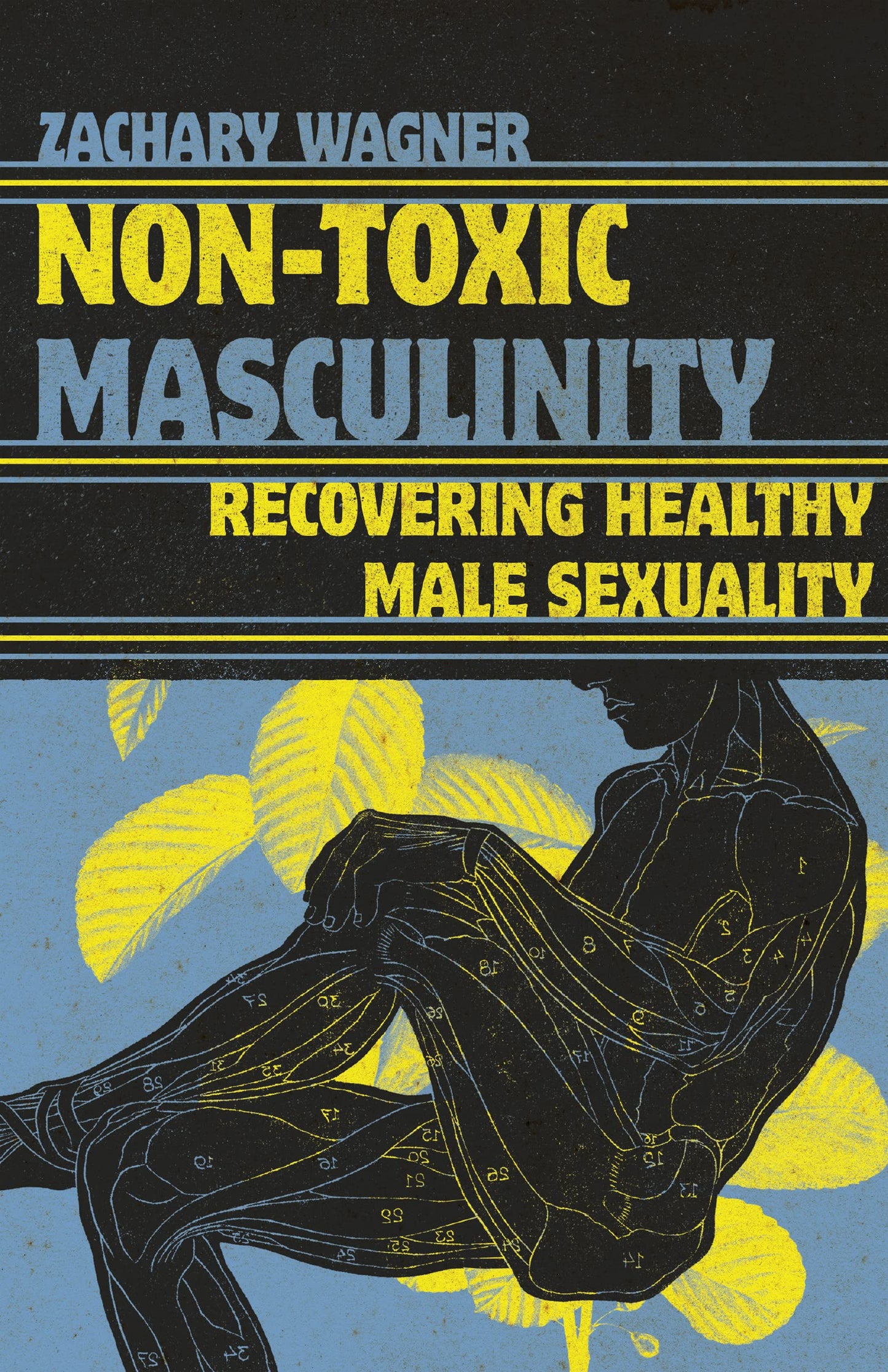 Non-Toxic Masculinity: Recovering Healthy Male Sexuality The Happy Book Stack