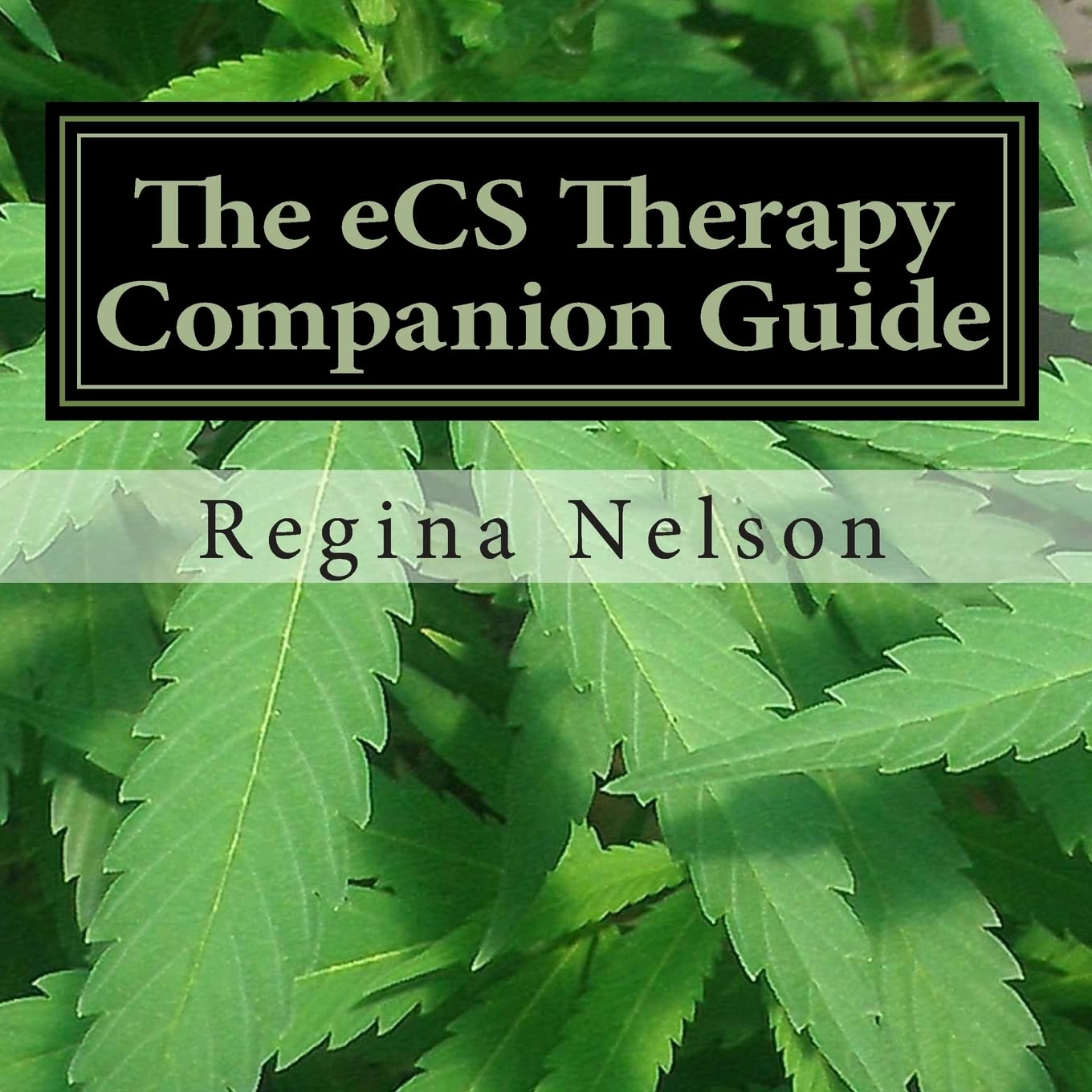The eCS Therapy Companion Guide: A Reference Source for Your Endocannabinoid System - 522