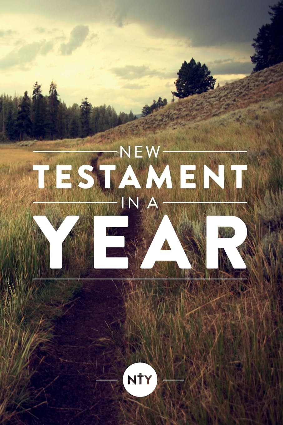 New Testament in a Year The Happy Book Stack