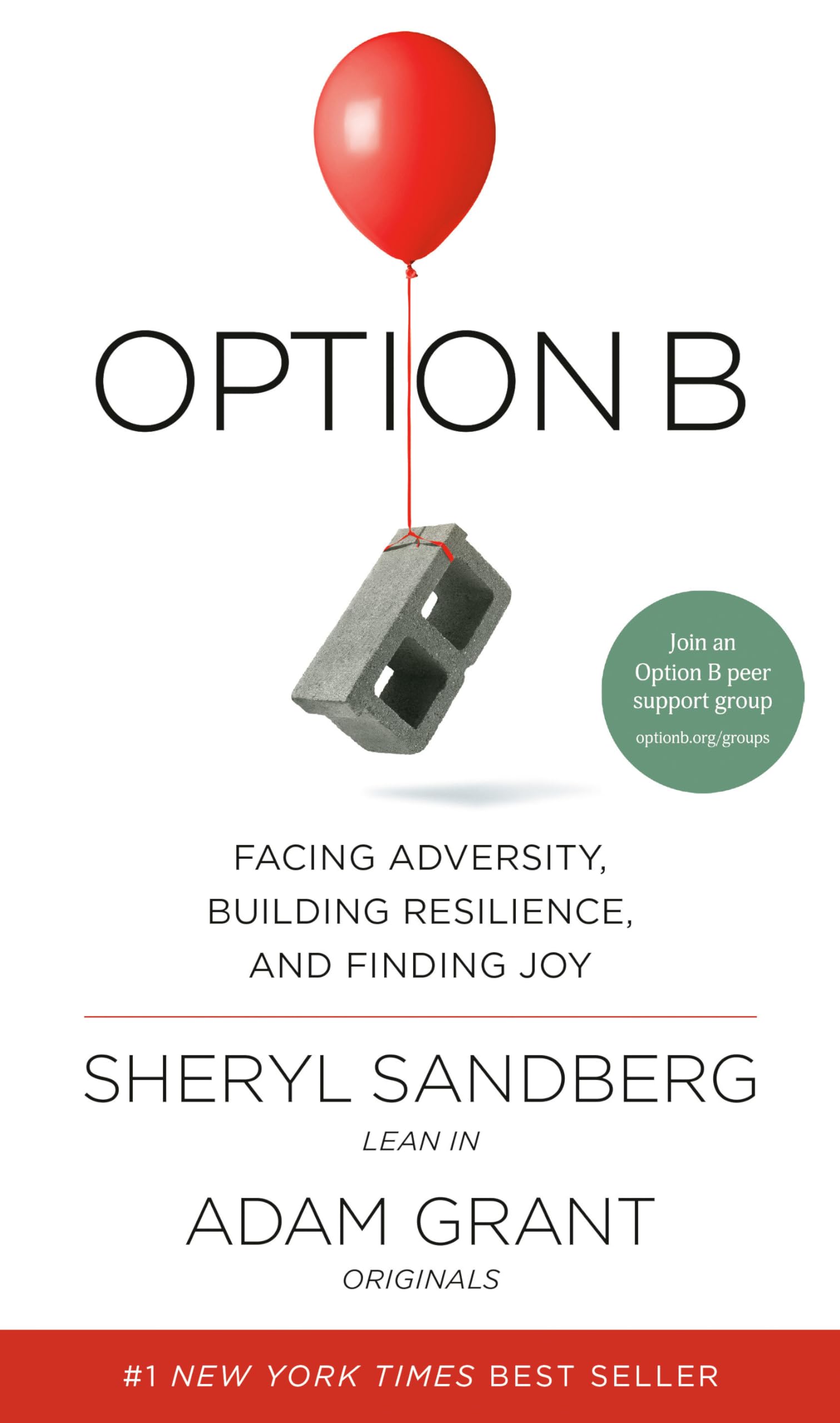 Option B: Facing Adversity, Building Resilience, and Finding Joy The Happy Book Stack