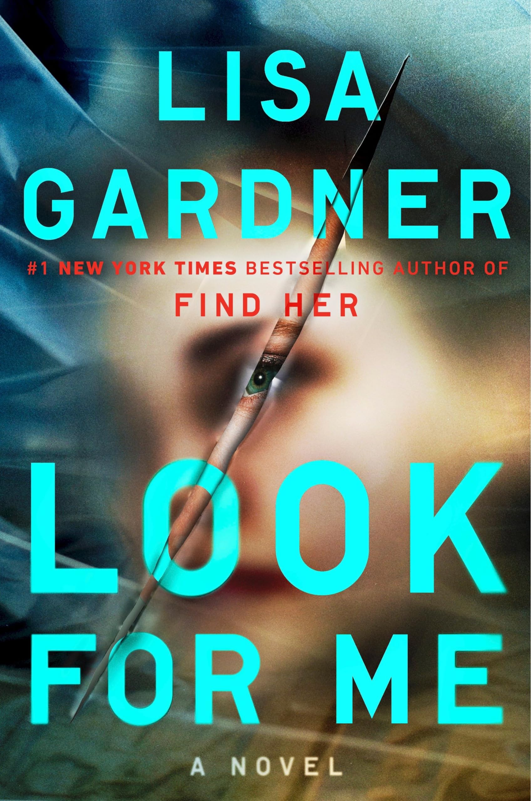 Look for Me (Detective D. D. Warren) The Happy Book Stack