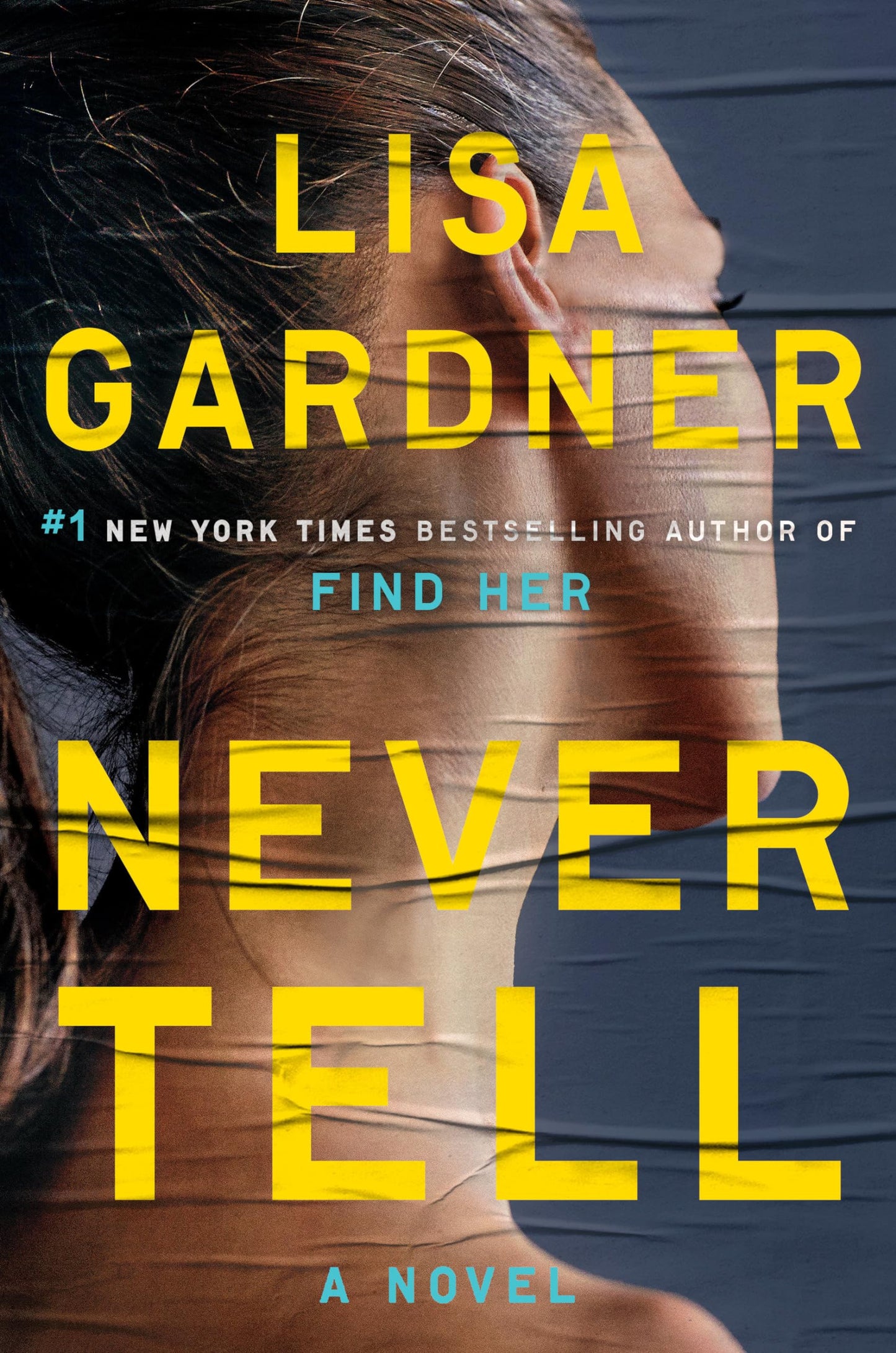 Never Tell: A Novel (Detective D. D. Warren) The Happy Book Stack