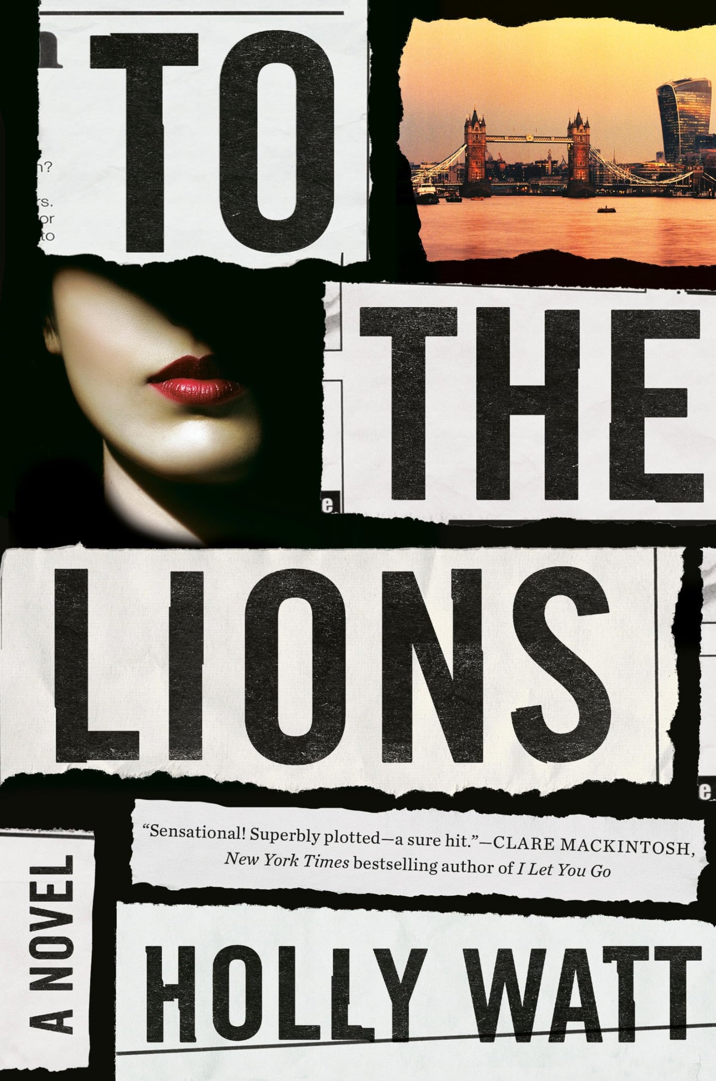 To the Lions: A Novel The Happy Book Stack