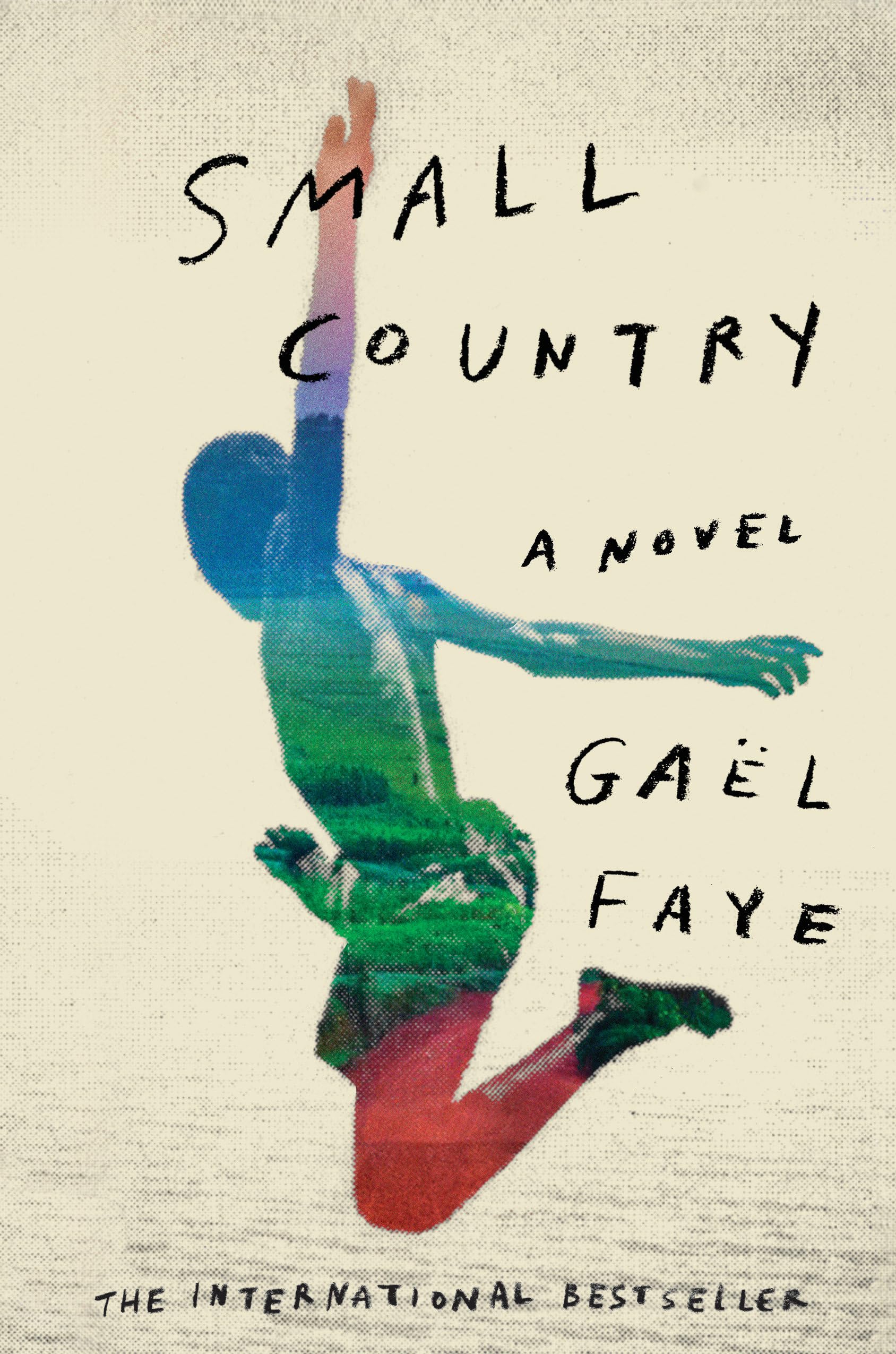 Small Country: A Novel The Happy Book Stack