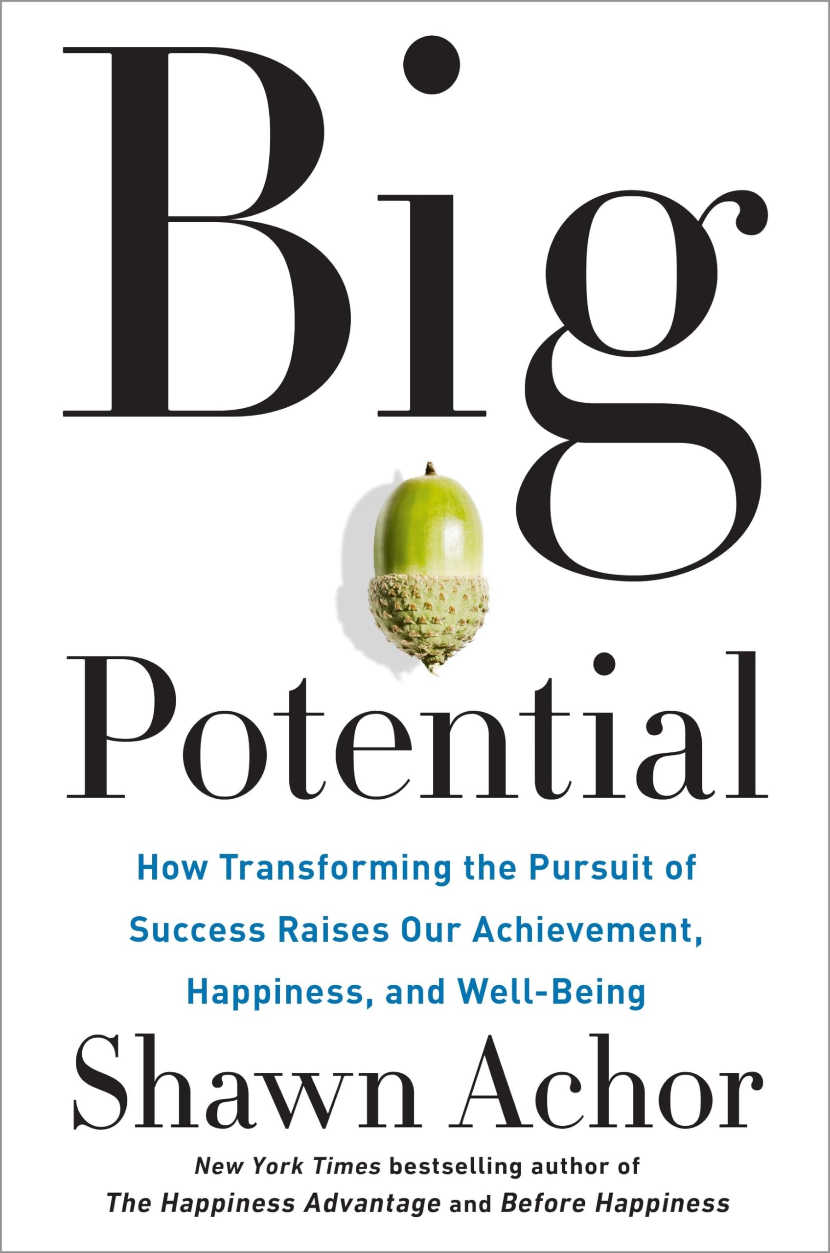 Big Potential: How Transforming the Pursuit of Success Raises Our Achievement, Happiness, and Well-Being The Happy Book Stack