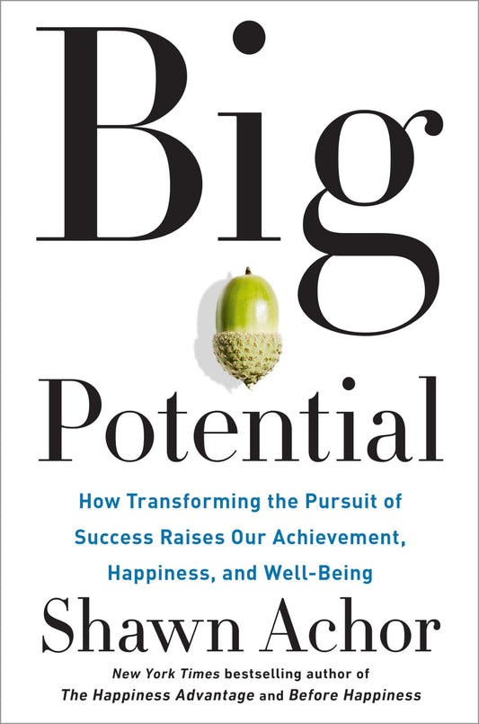 Big Potential: How Transforming the Pursuit of Success Raises Our Achievement, Happiness, and Well-Being The Happy Book Stack
