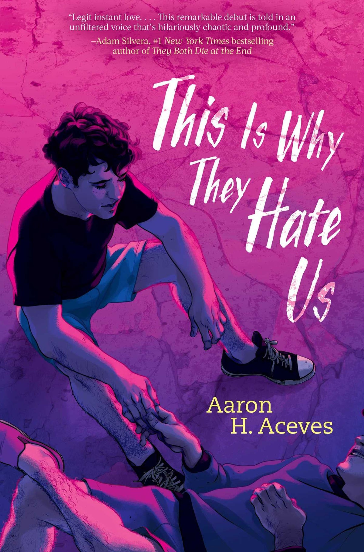 This Is Why They Hate Us The Happy Book Stack