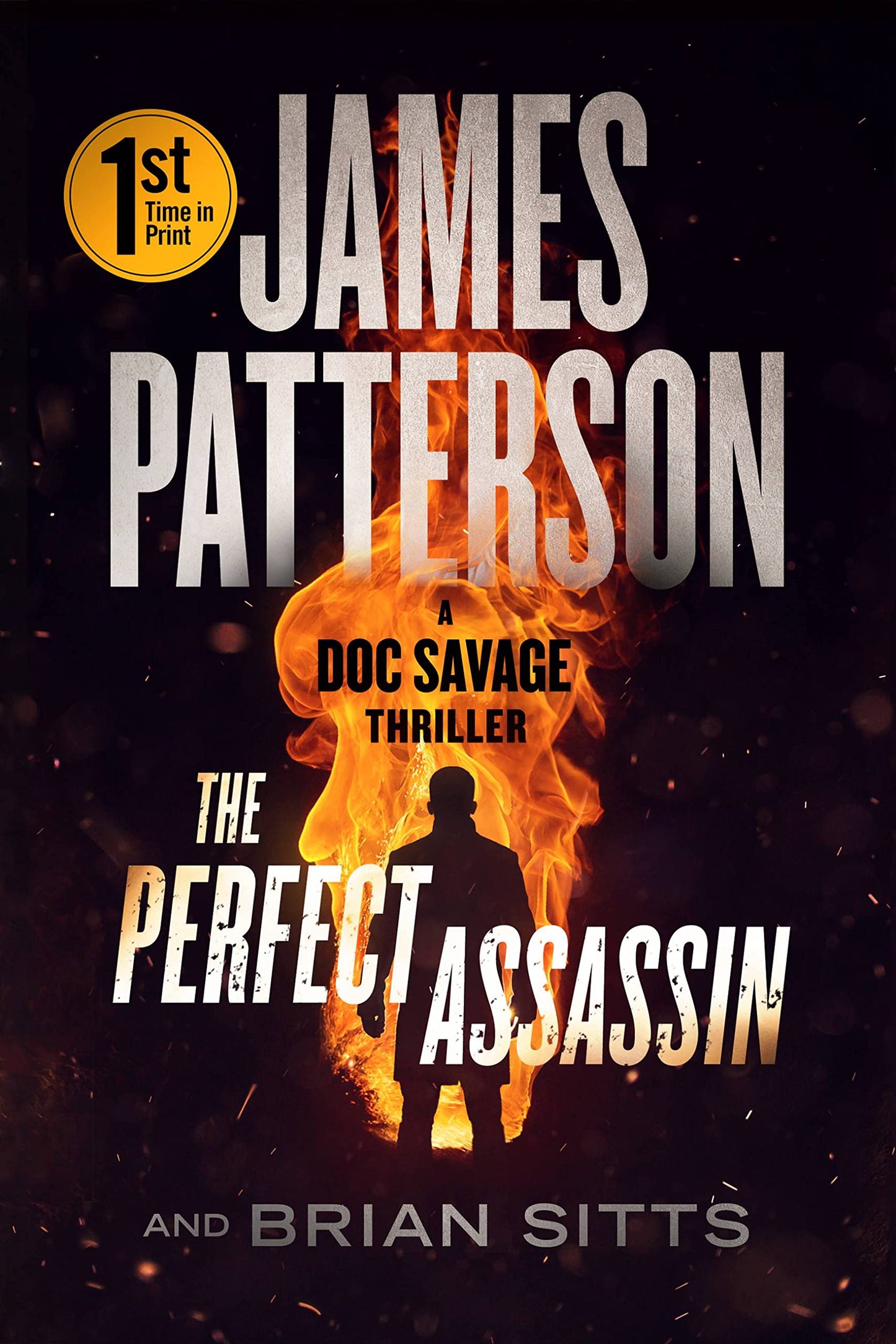 The Perfect Assassin: A Doc Savage Thriller - 2876