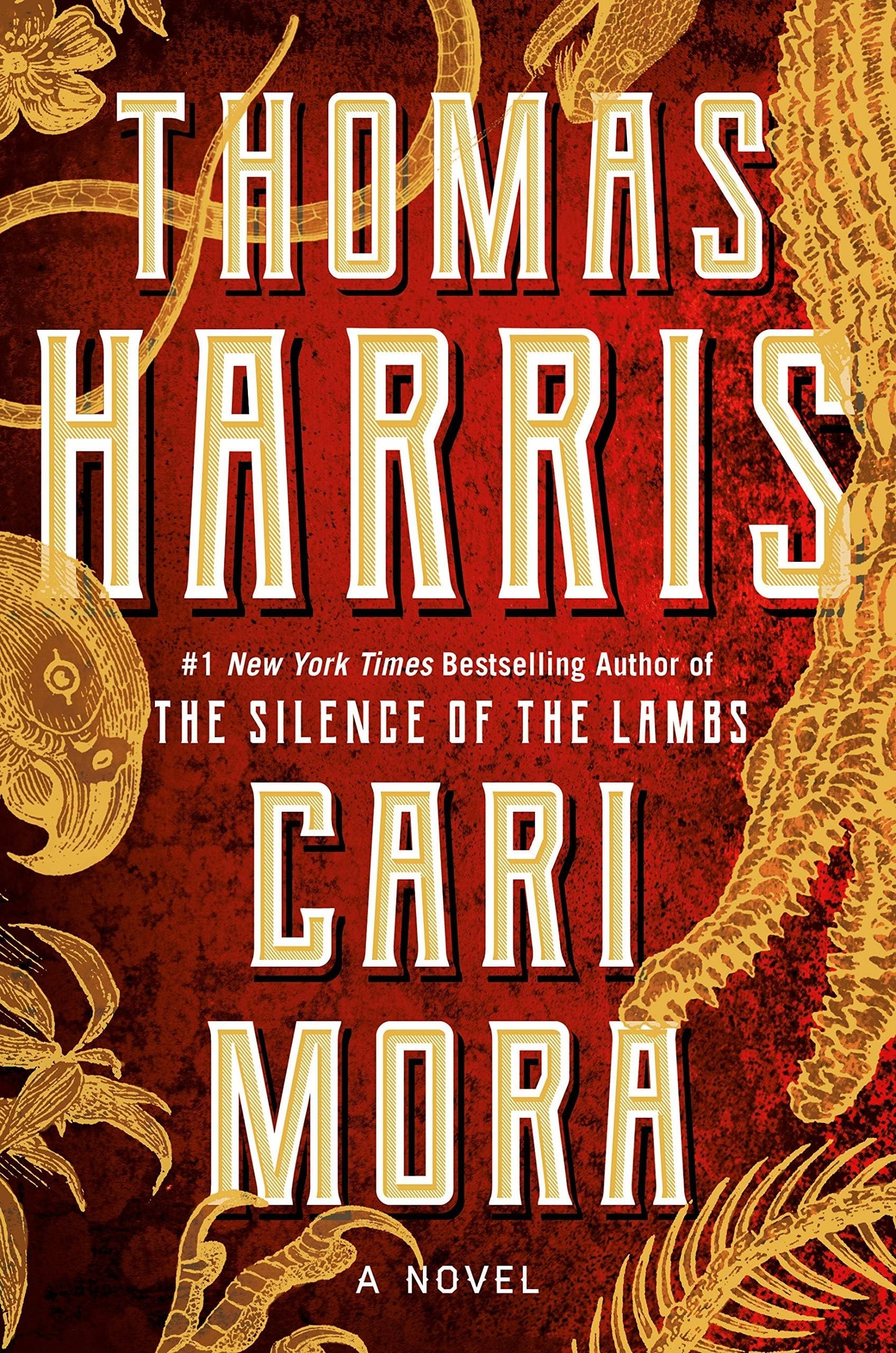 Cari Mora: A Novel The Happy Book Stack