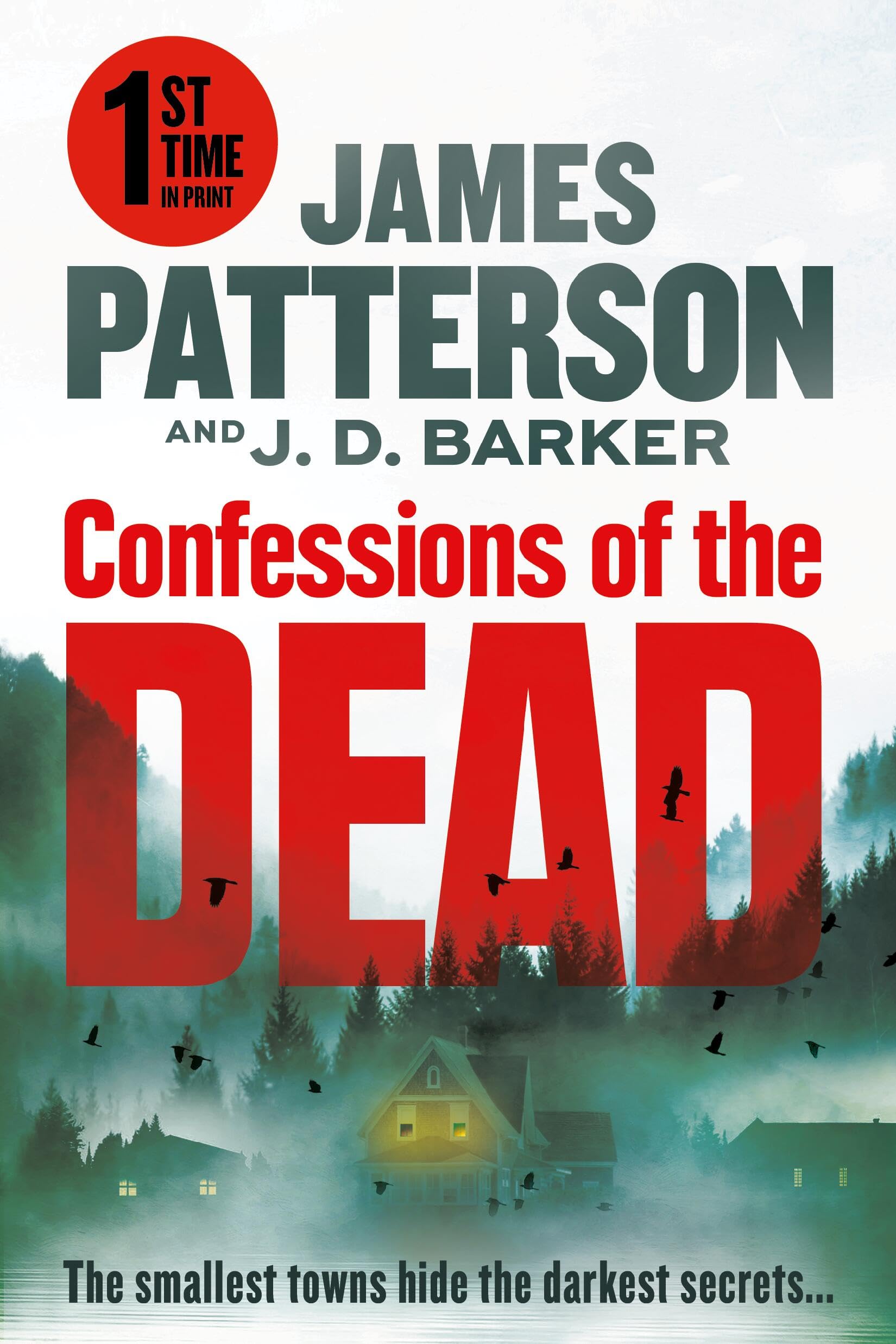 Confessions of the Dead: A Thriller The Happy Book Stack