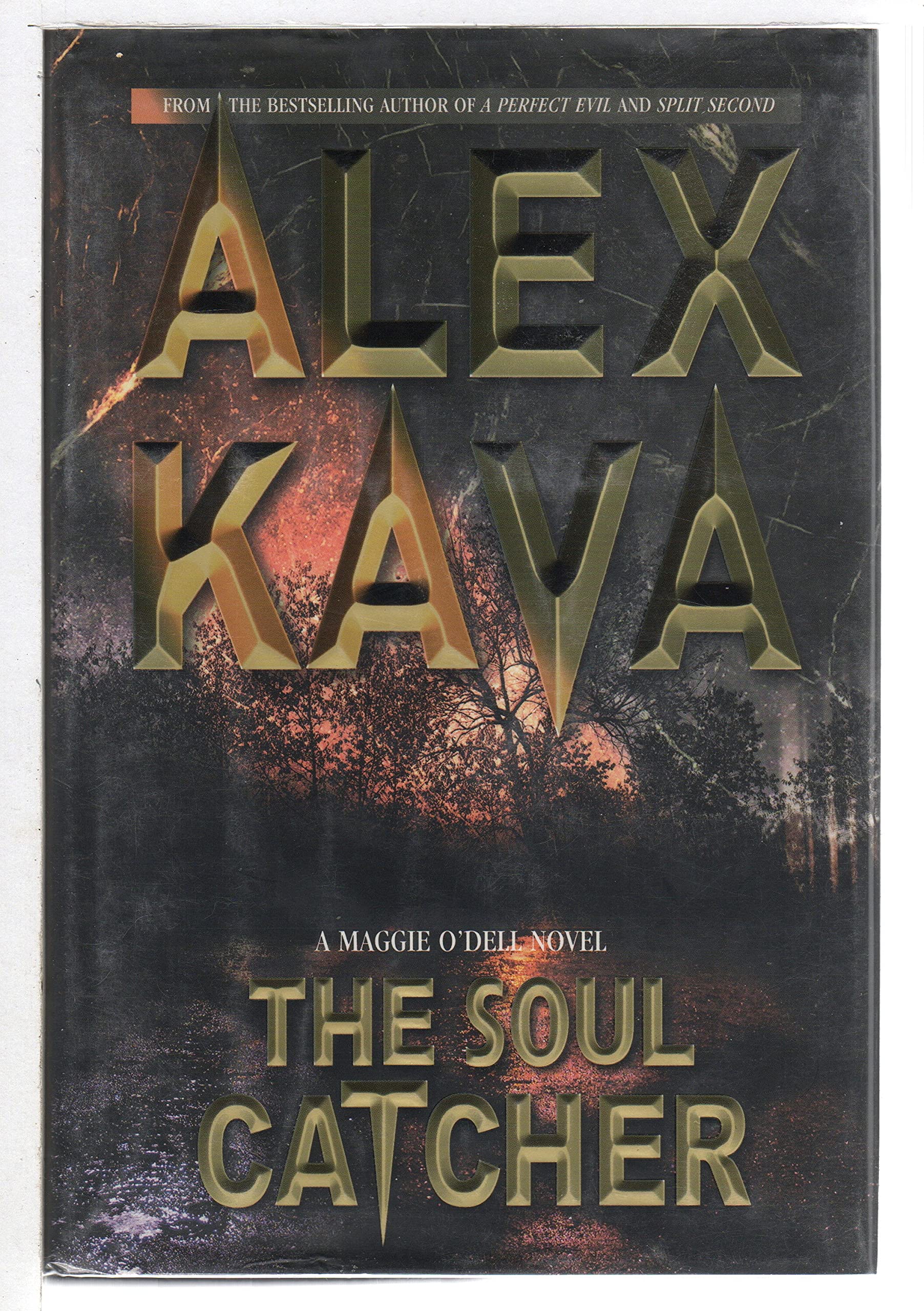 The Soul Catcher (Maggie O'Dell Novels) The Happy Book Stack