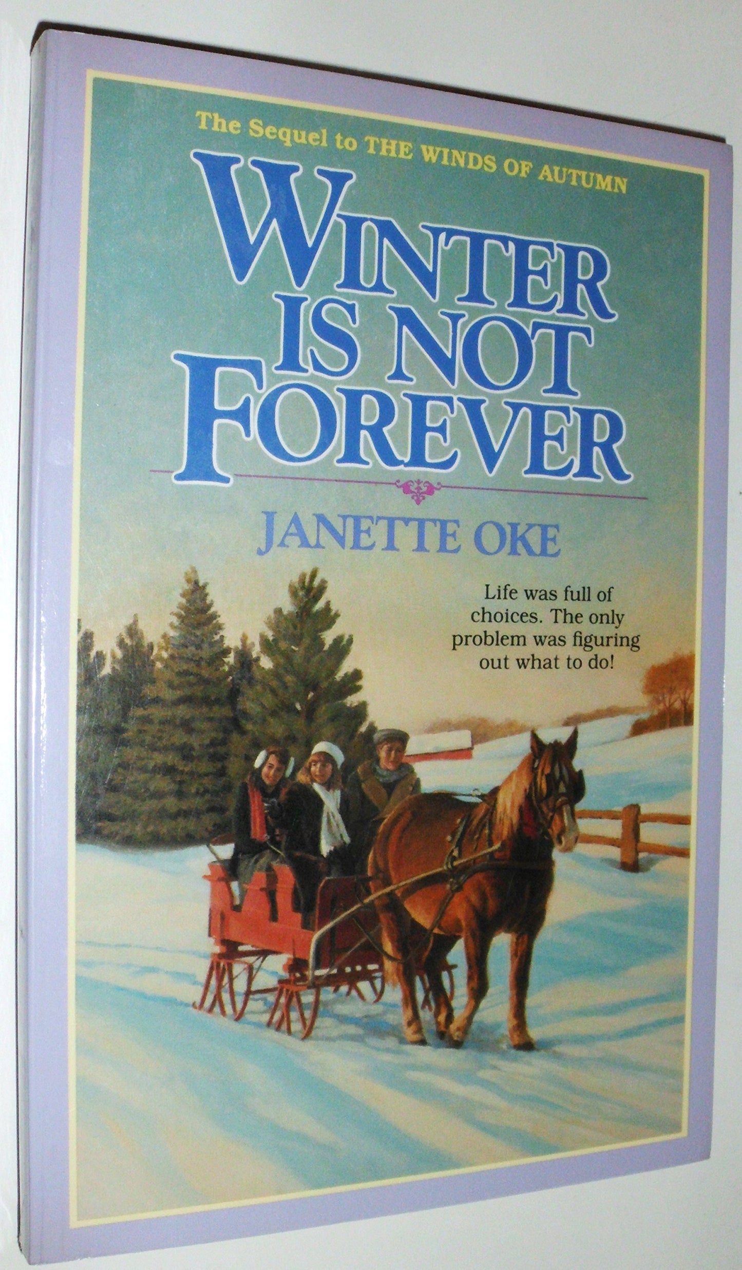 Winter is Not Forever (Seasons of the Heart #3) The Happy Book Stack