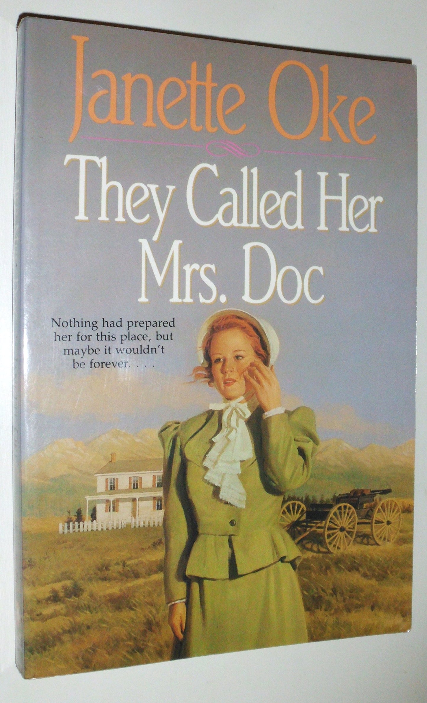 They Called Her Mrs Doc (Women of the West #5) The Happy Book Stack