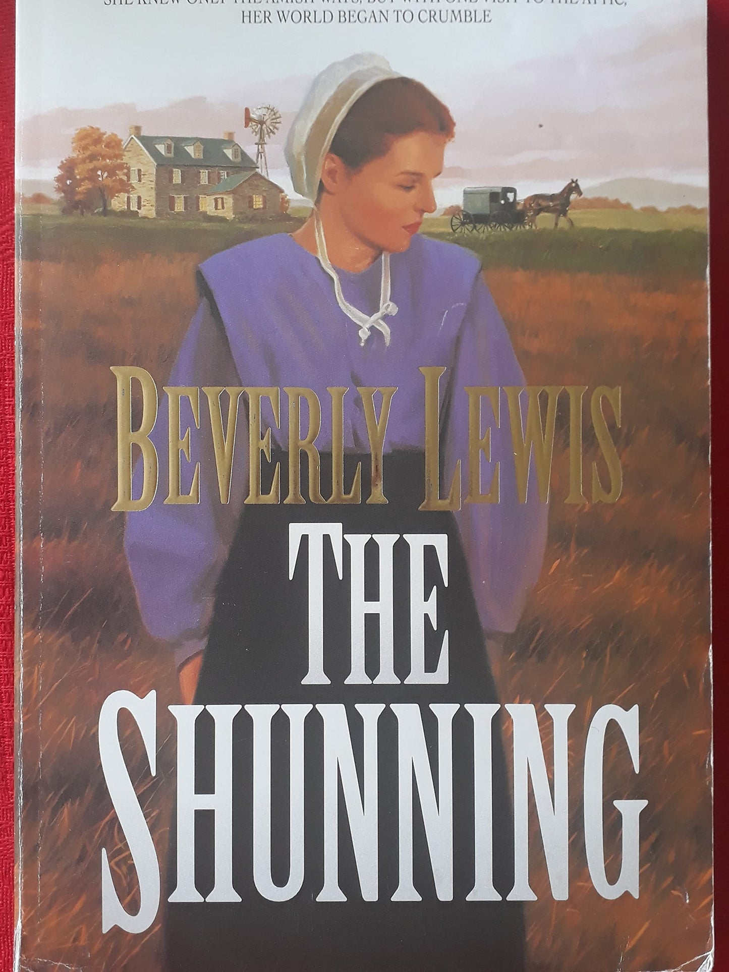 The Shunning (Heritage of Lancaster County) The Happy Book Stack