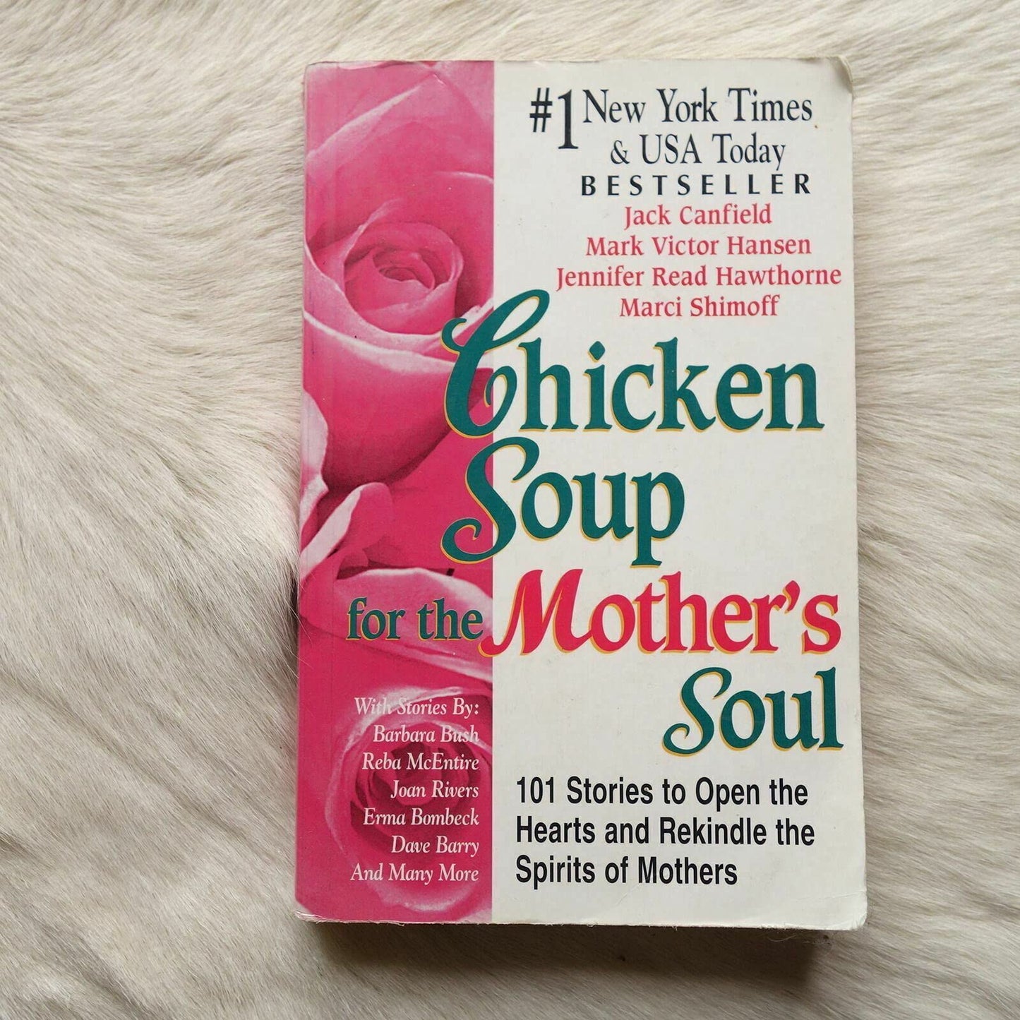 Chicken Soup for the Mother's Soul: 101 Stories to Open the Hearts and Rekindle the Spirits of Mothers - 6244