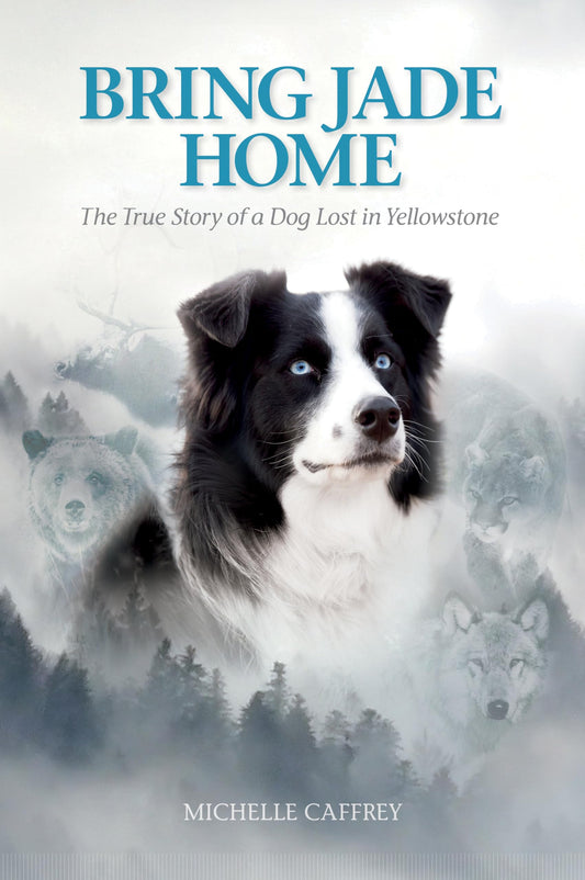 Bring Jade Home: The True Story of a Dog Lost in Yellowstone and the People Who Searched for Her The Happy Book Stack