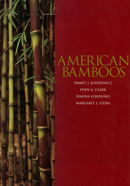 American Bamboos - 9528
