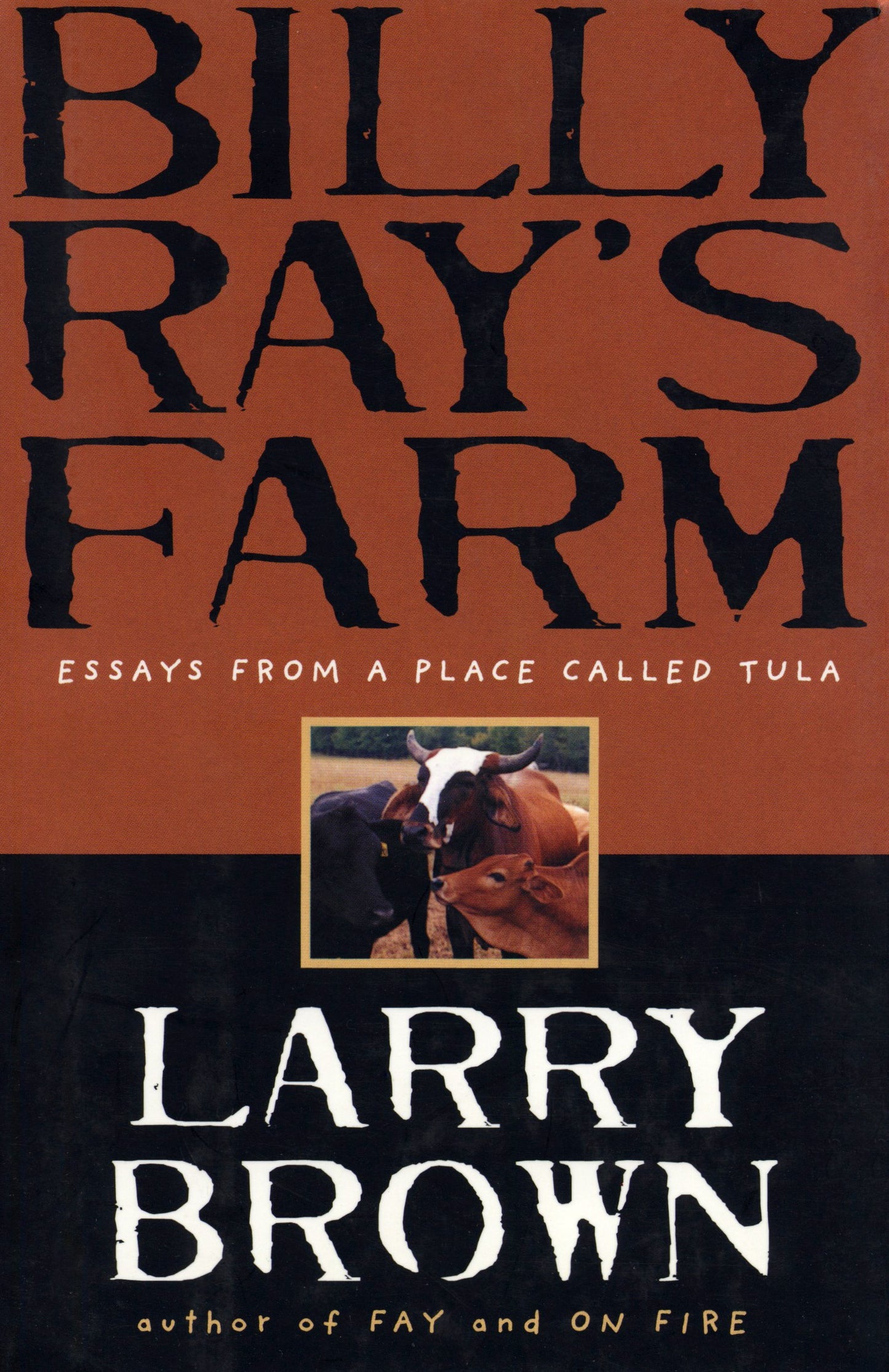Billy Ray's Farm: Essays The Happy Book Stack