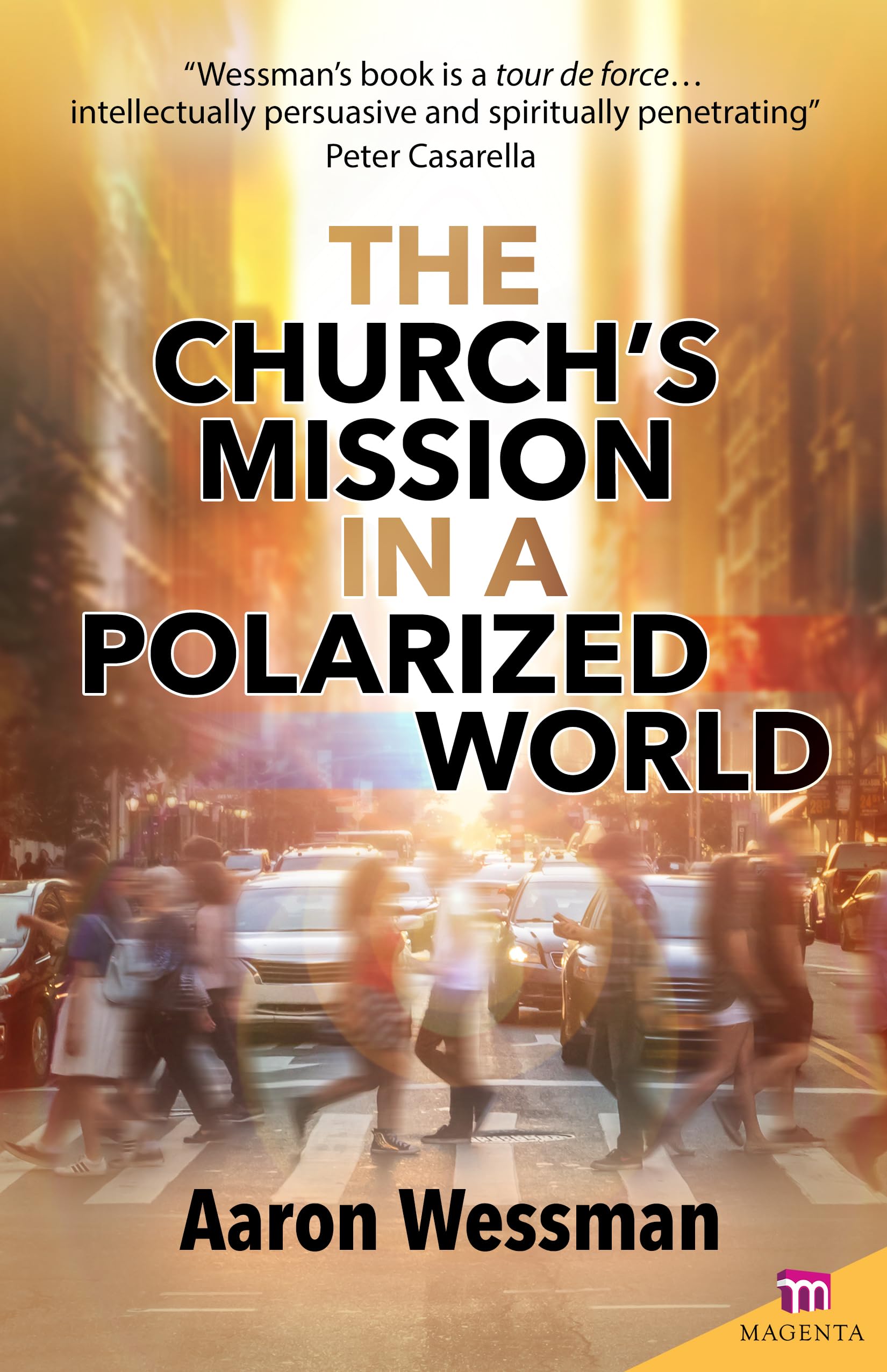 The Church's Mission in a Polarized World (Magenta Series) The Happy Book Stack