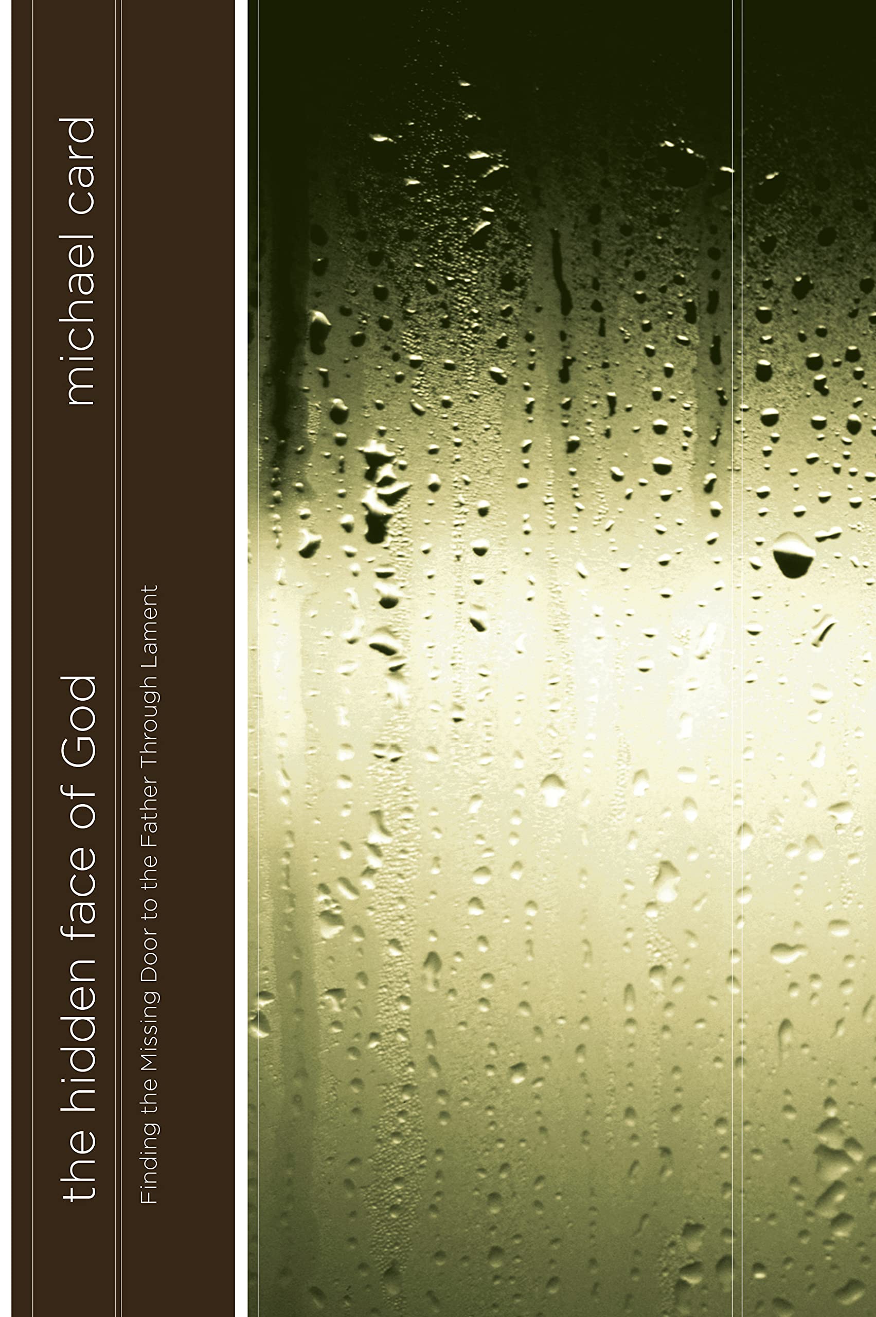 The Hidden Face of God: Finding the Missing Door to the Father Through Lament The Happy Book Stack