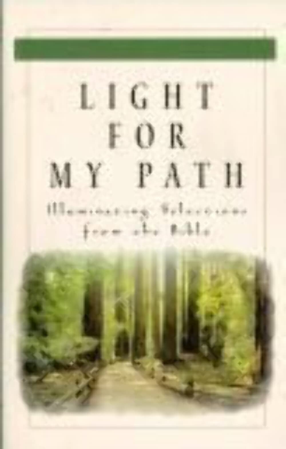 Light For My Path: Illuminating Selections From the Bible The Happy Book Stack