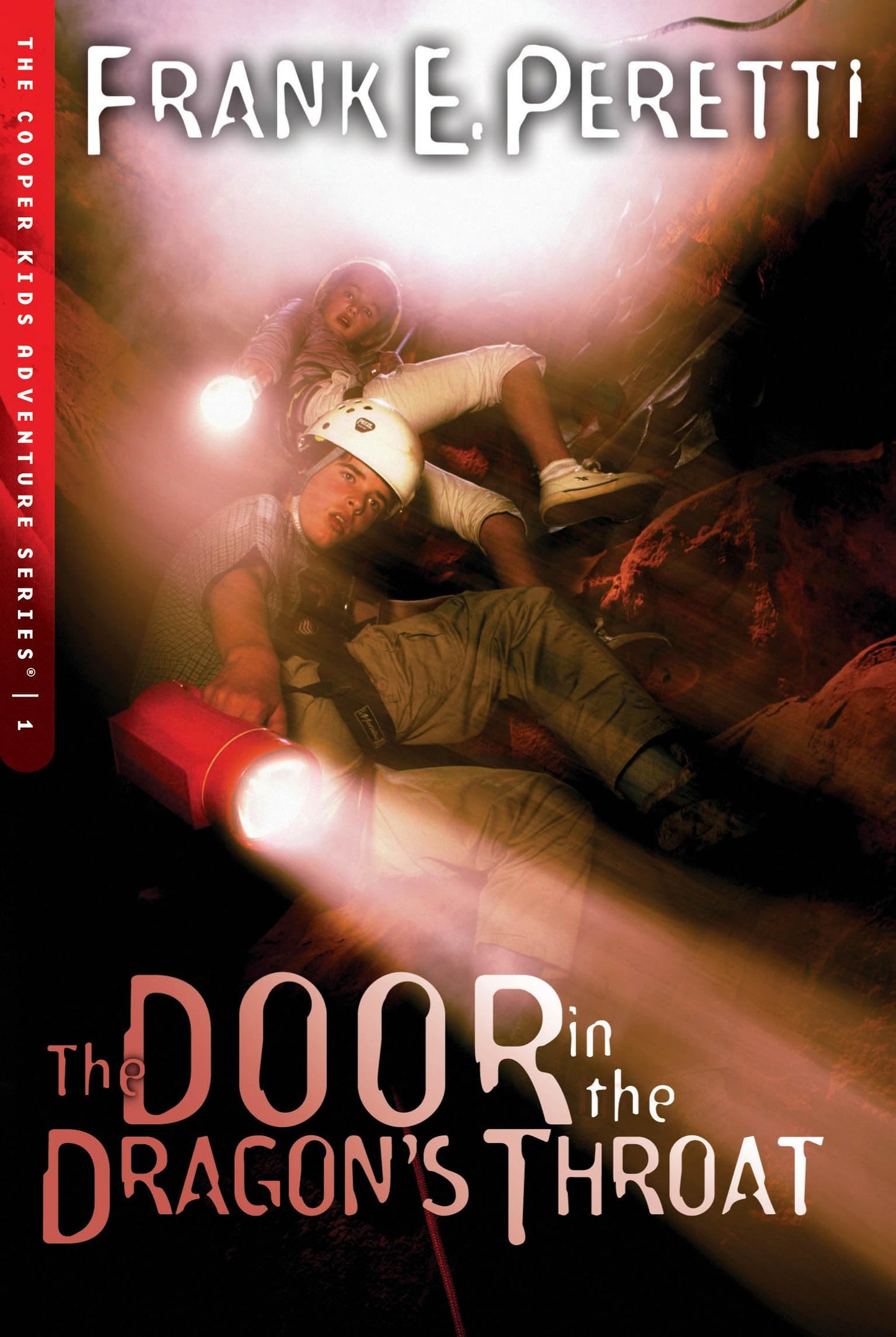 The Door in the Dragon's Throat The Happy Book Stack