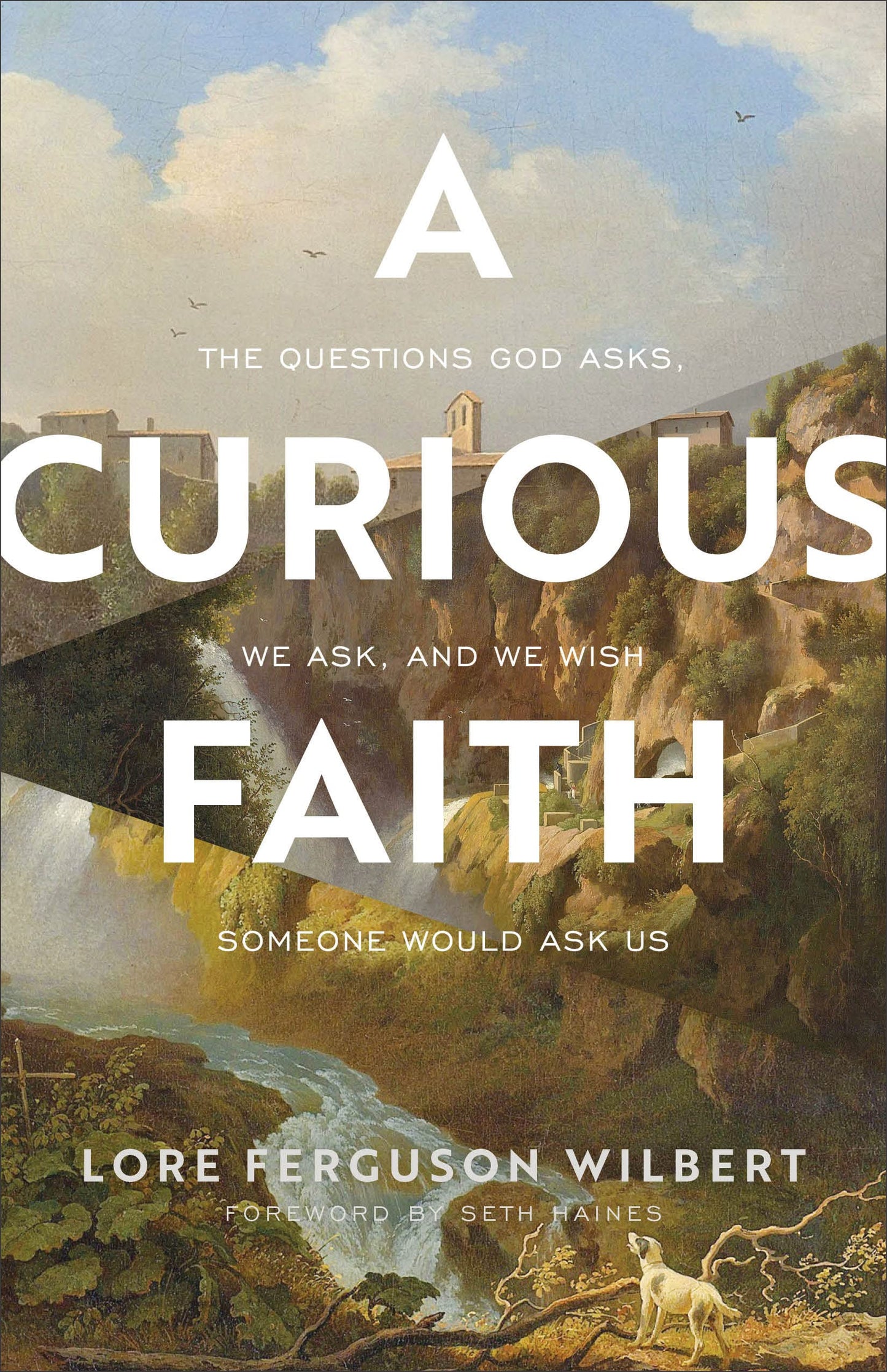 Curious Faith The Happy Book Stack