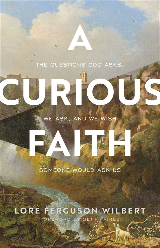 Curious Faith The Happy Book Stack