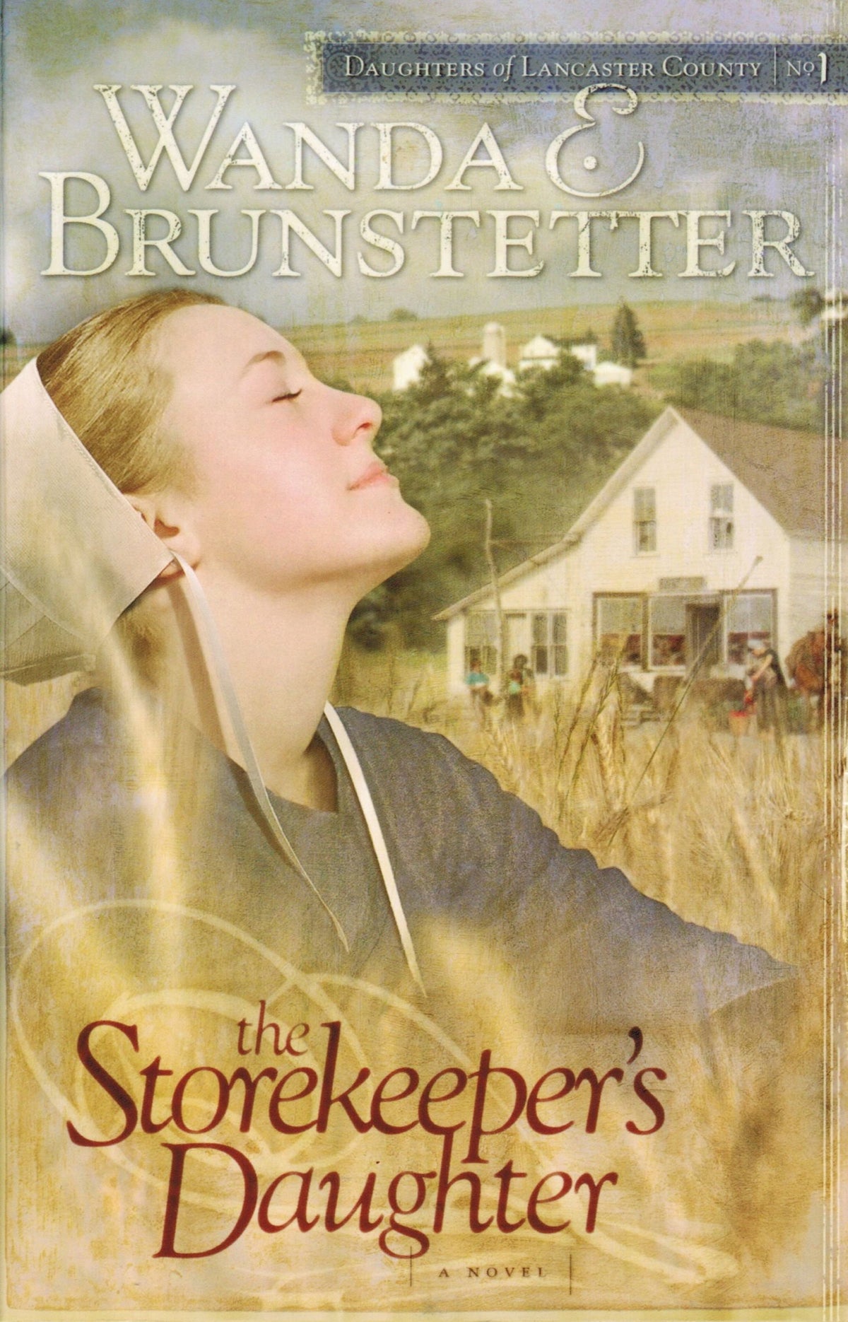 The Storekeeper's Daughter (Daughters of Lancaster County, Book 1) The Happy Book Stack