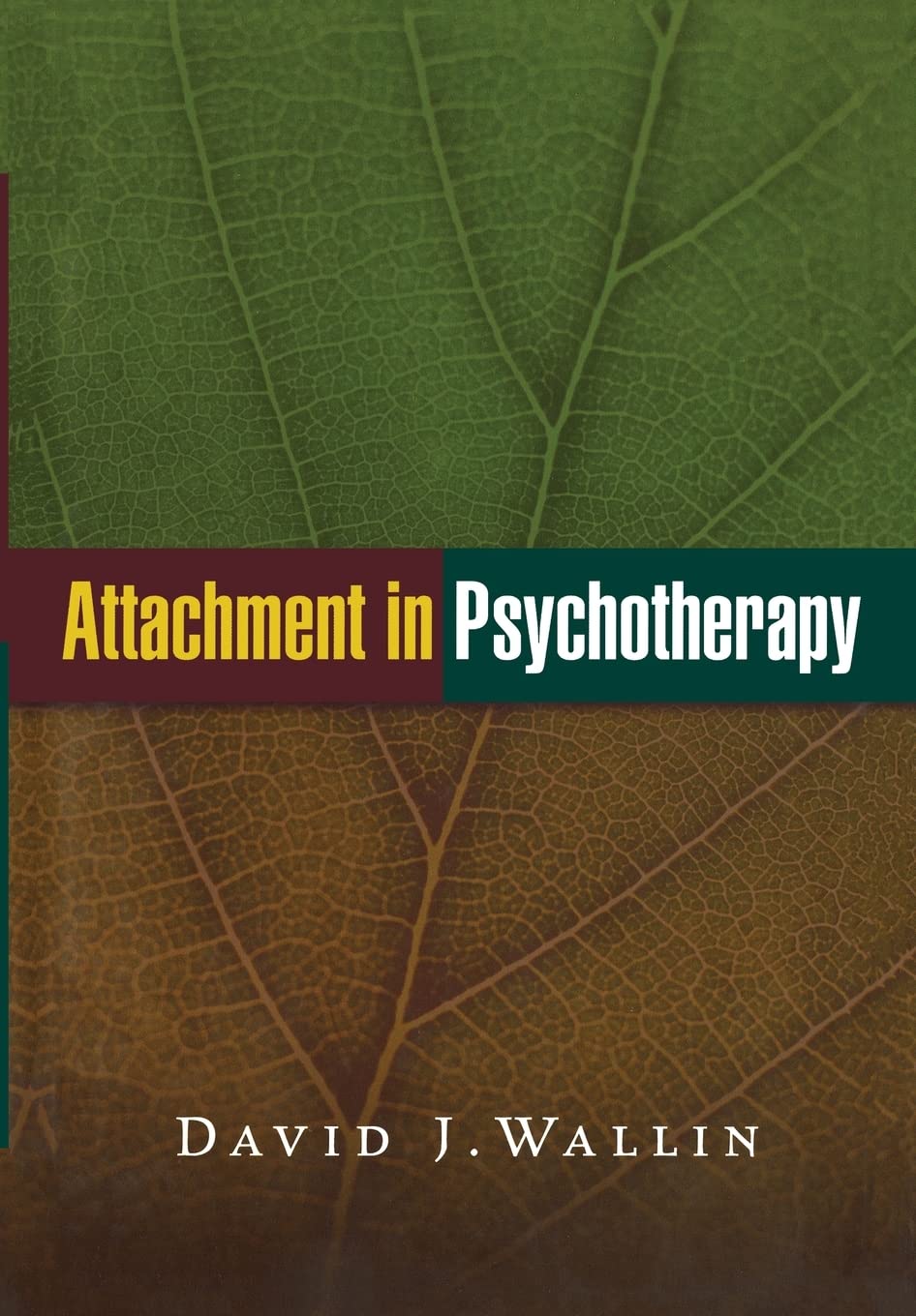 Attachment in Psychotherapy The Happy Book Stack
