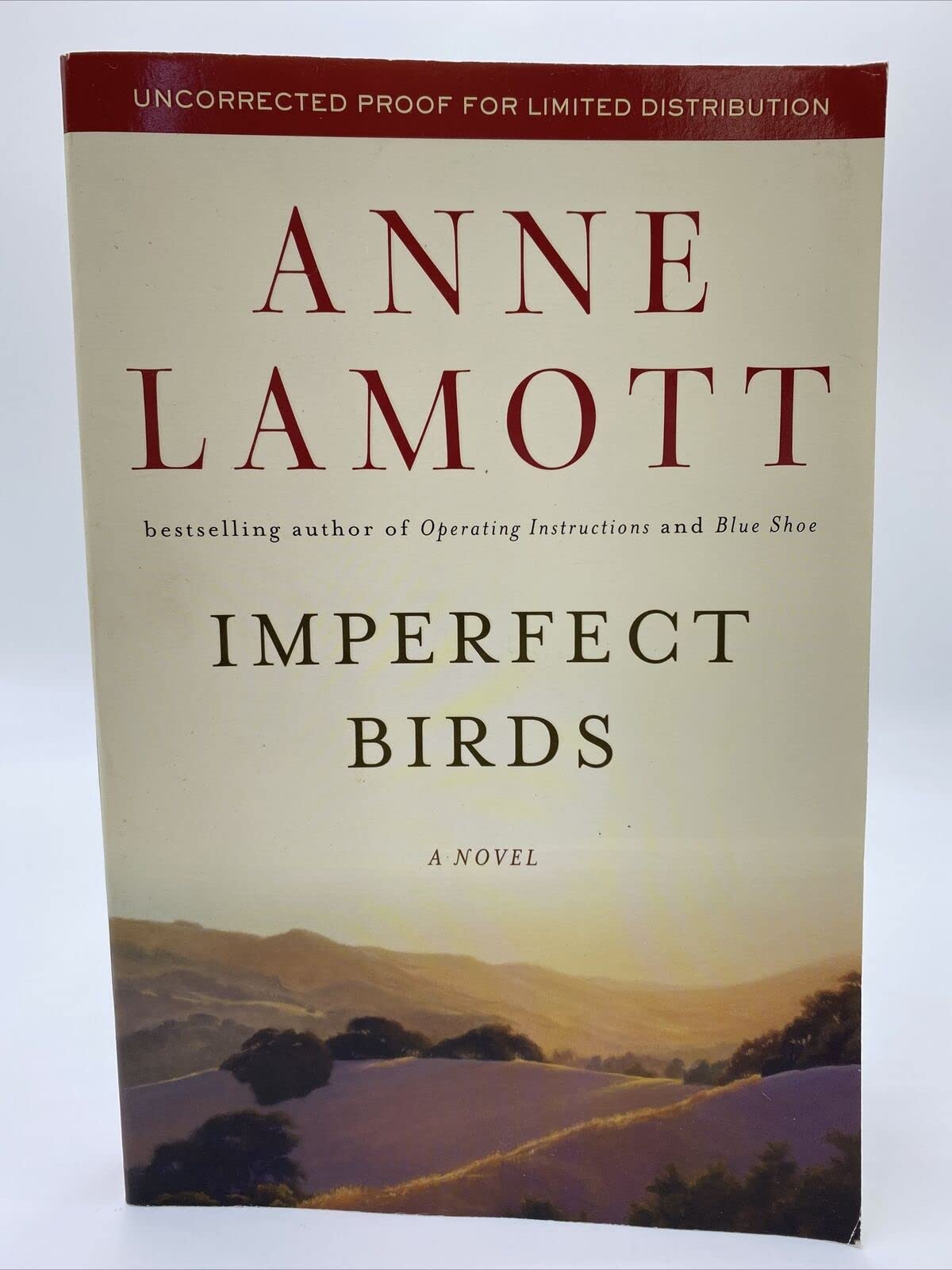 Imperfect Birds: A Novel The Happy Book Stack