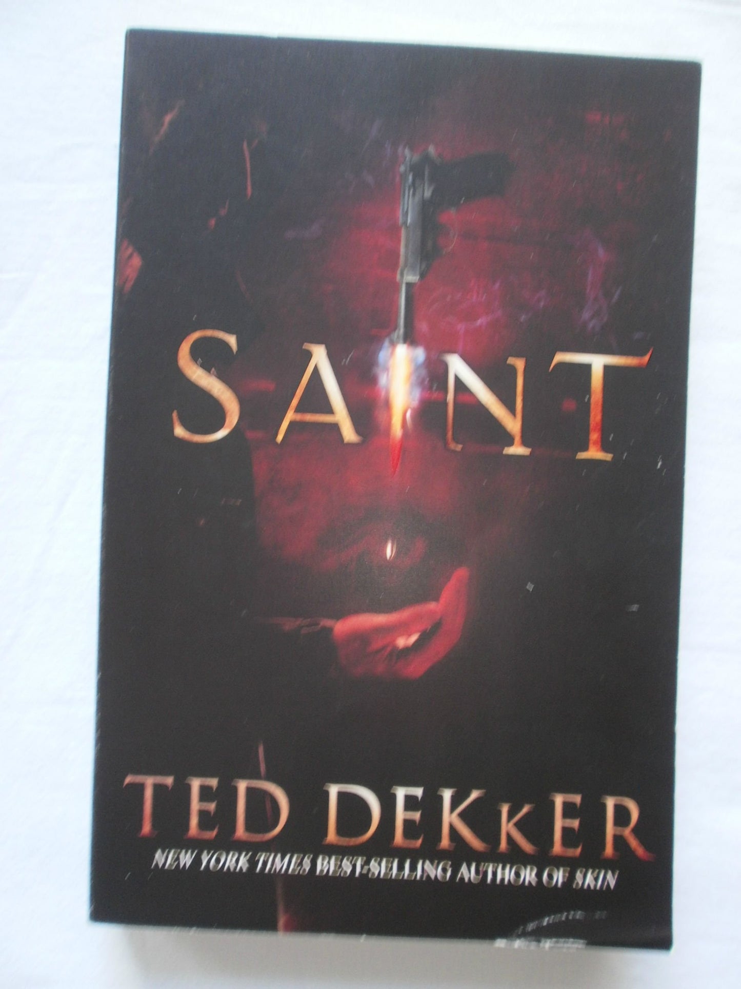 Saint (Paradise Series, Book 2) (The Books of History Chronicles) The Happy Book Stack