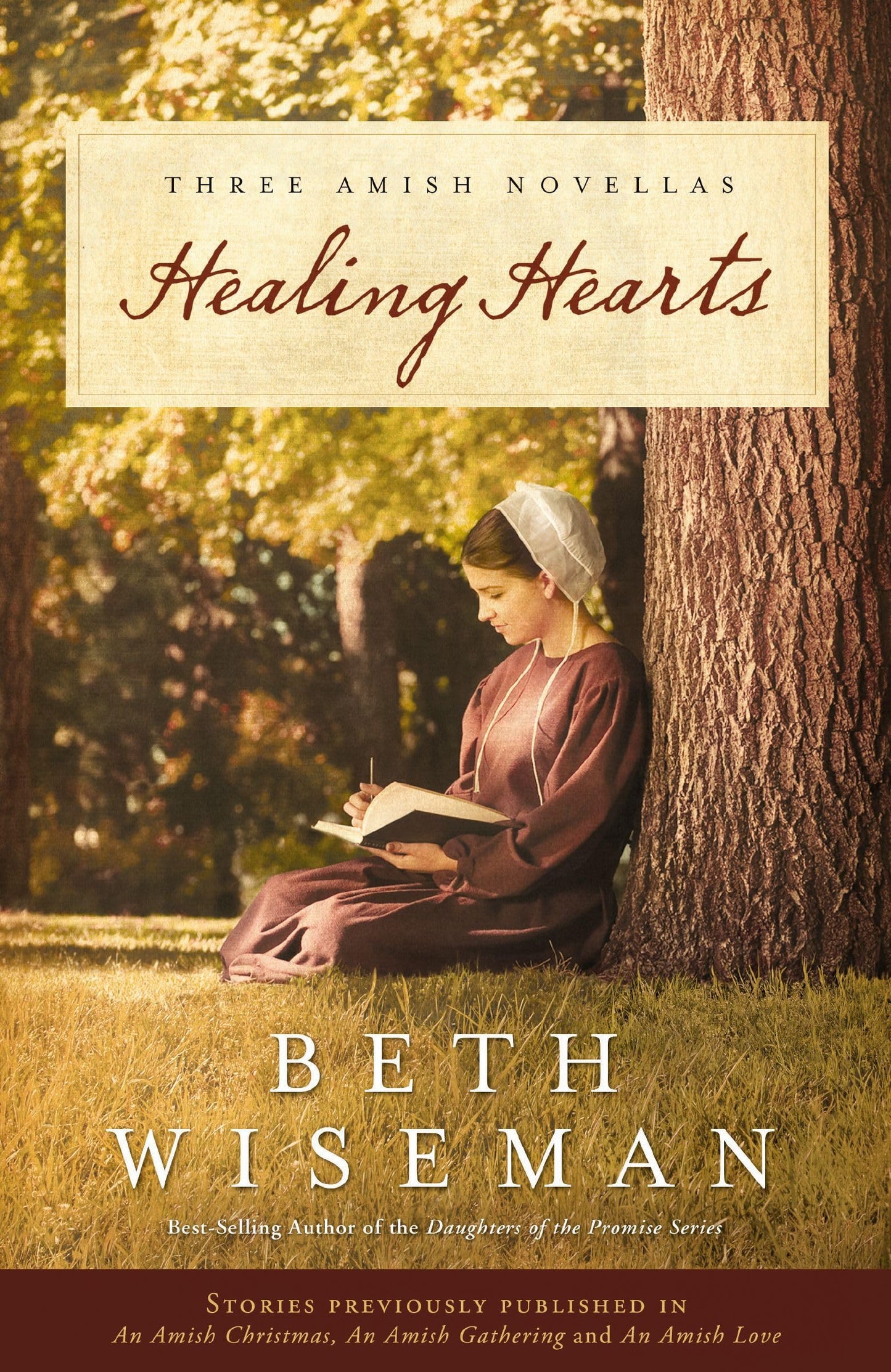 Healing Hearts: Three Amish Novellas The Happy Book Stack