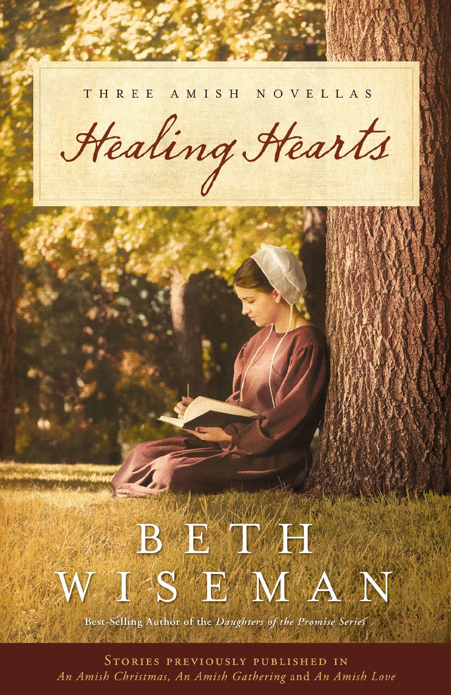 Healing Hearts: Three Amish Novellas The Happy Book Stack