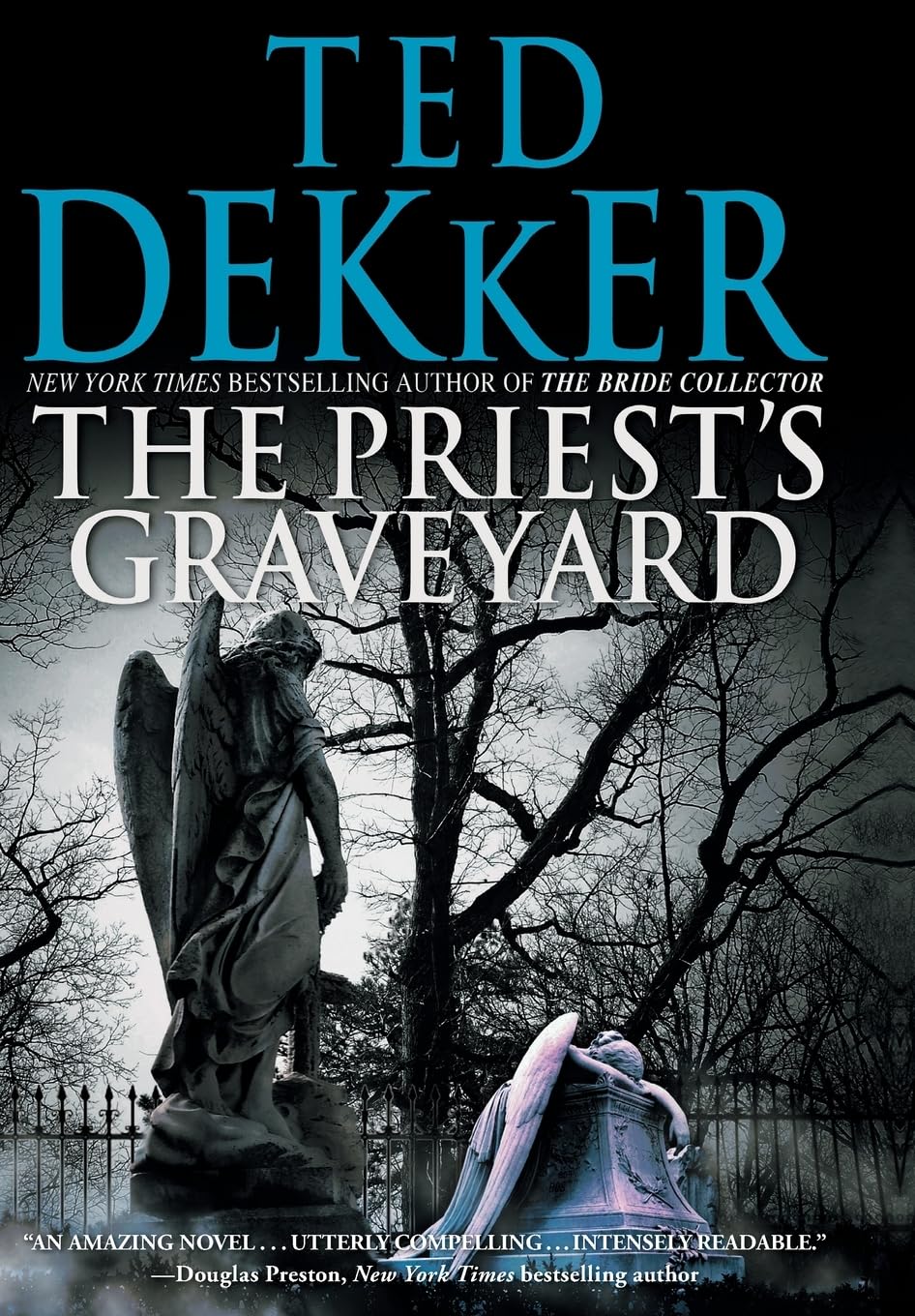 The Priest's Graveyard The Happy Book Stack