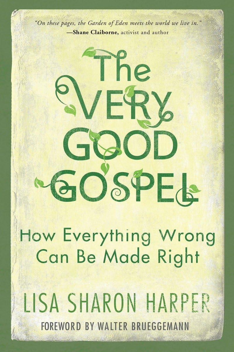 The Very Good Gospel: How Everything Wrong Can Be Made Right The Happy Book Stack