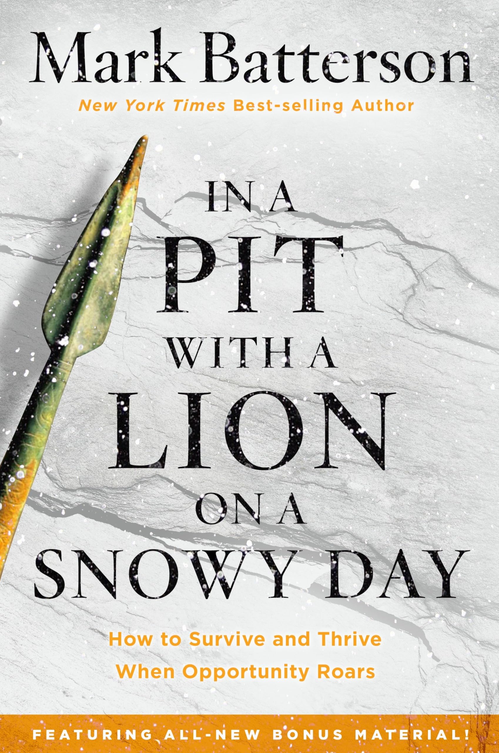 In a Pit with a Lion on a Snowy Day: How to Survive and Thrive When Opportunity Roars The Happy Book Stack