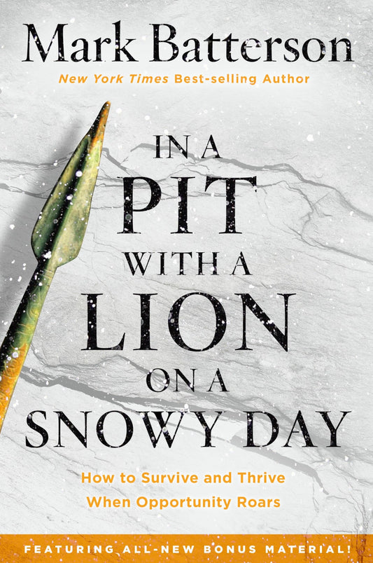 In a Pit with a Lion on a Snowy Day: How to Survive and Thrive When Opportunity Roars The Happy Book Stack