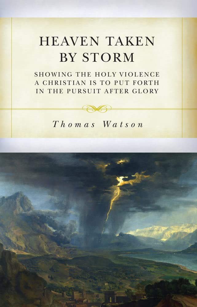 Heaven Taken by Storm The Happy Book Stack