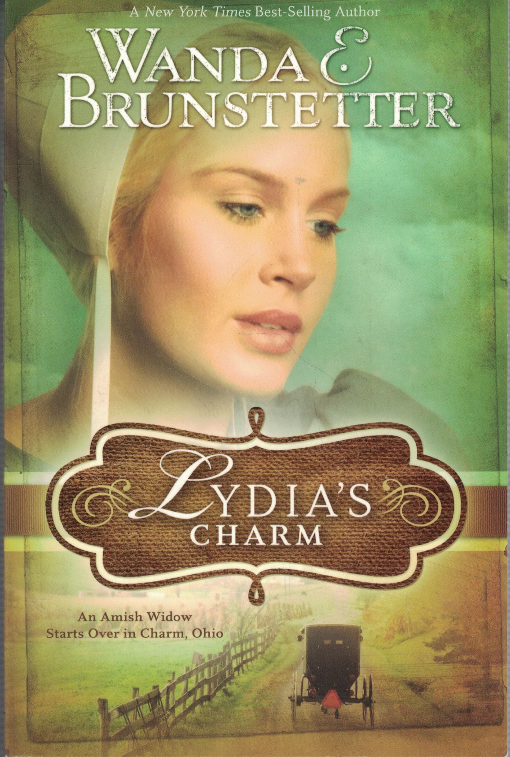 Lydia's Charm: An Amish Widow Starts Over in Charm, Ohio The Happy Book Stack