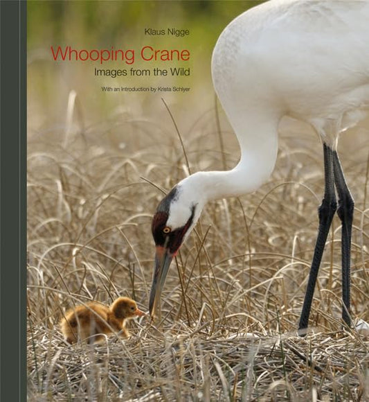 Whooping Crane: Images from the Wild - 948