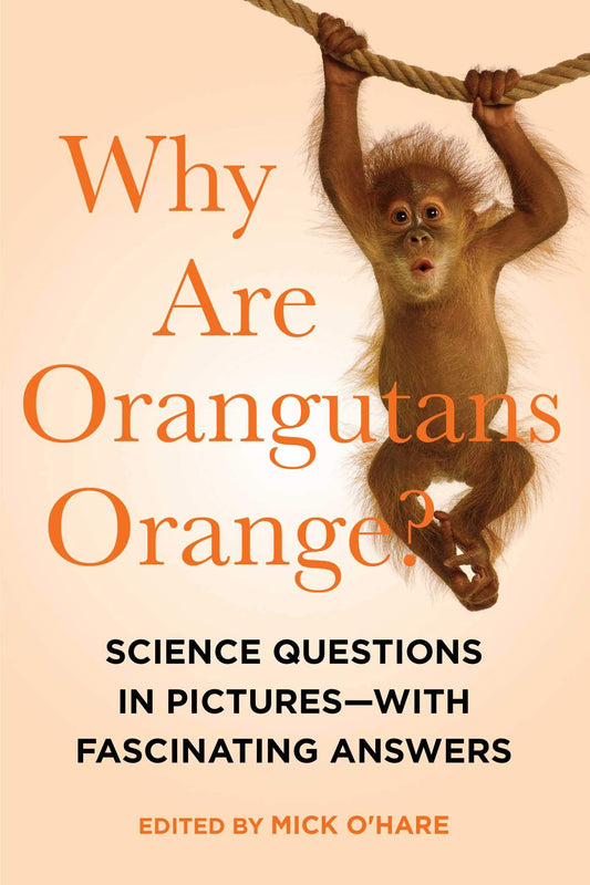 Why Are Orangutans Orange? The Happy Book Stack