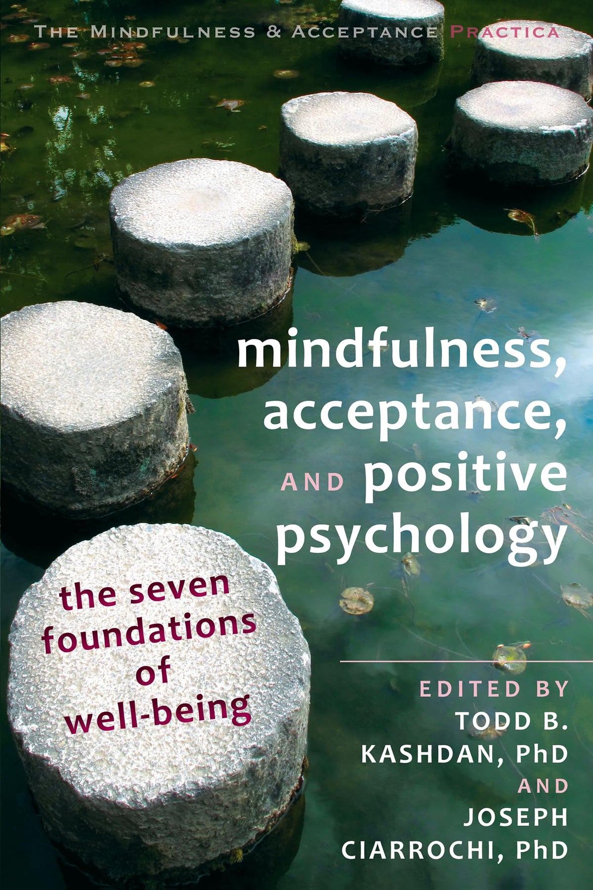 Mindfulness, Acceptance, and Positive Psychology: The Seven Foundations of Well-Being (The Context Press Mindfulness and Acceptance Practica Series) The Happy Book Stack