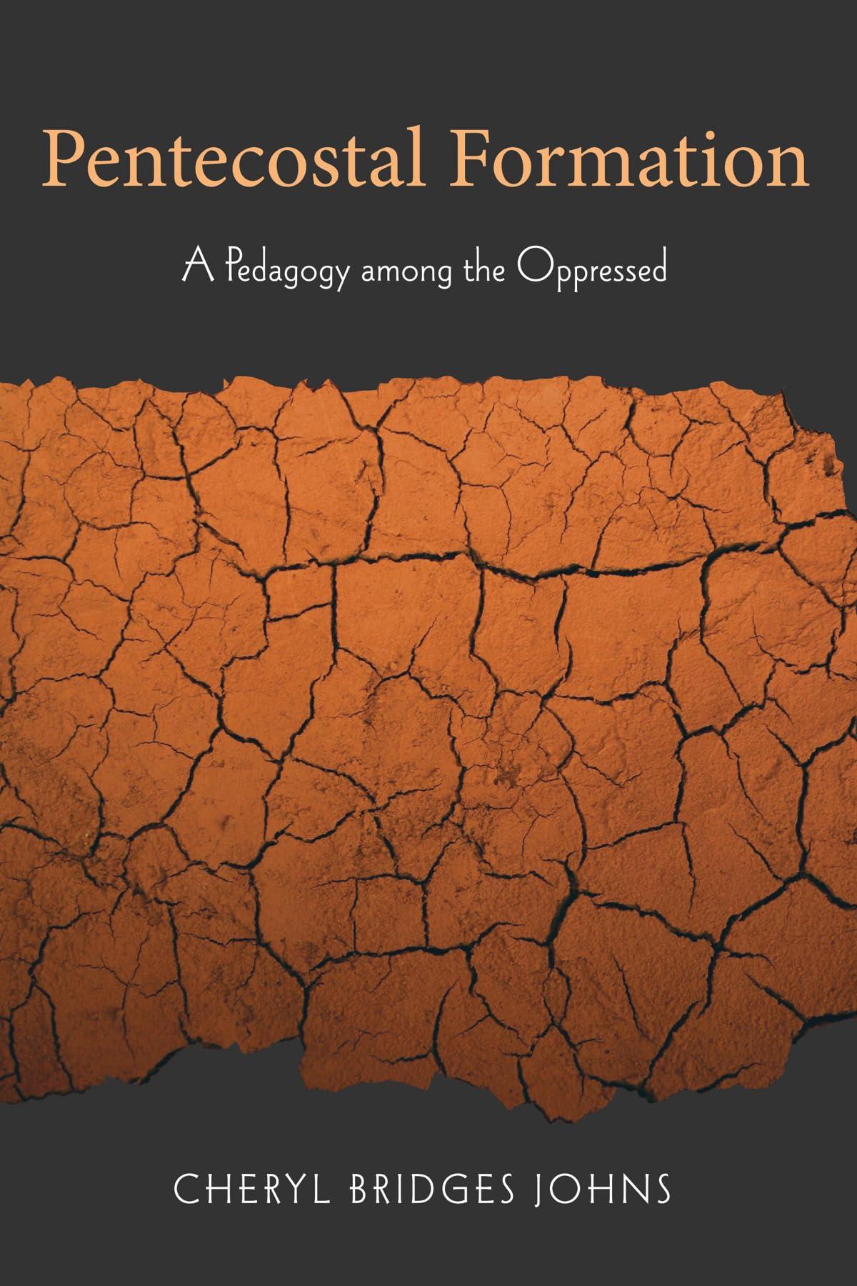Pentecostal Formation: A Pedagogy among the Oppressed (Journal of Pentecostal Theology Supplement Series) - 9109