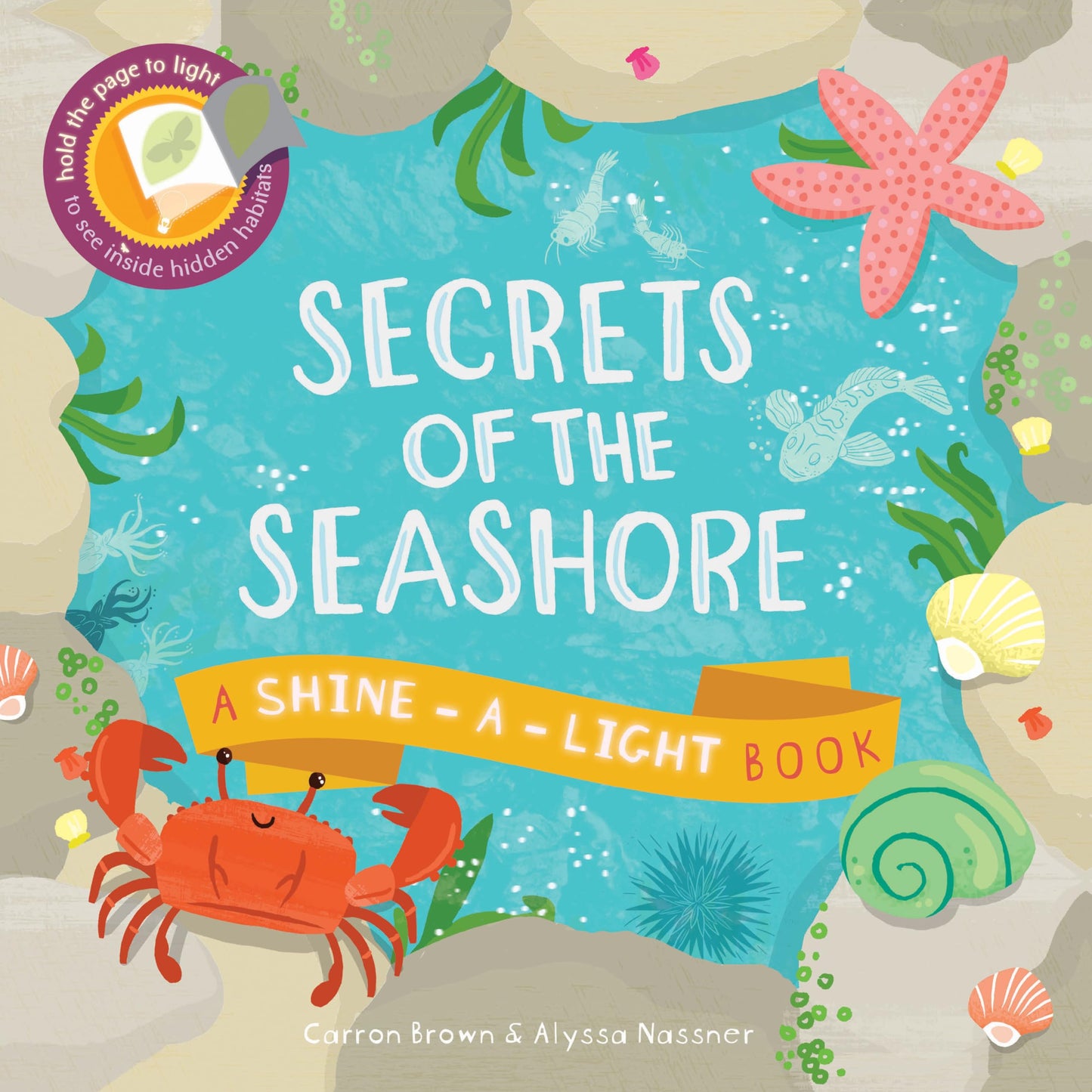 Secrets of the Seashore (Shine-a-light) The Happy Book Stack