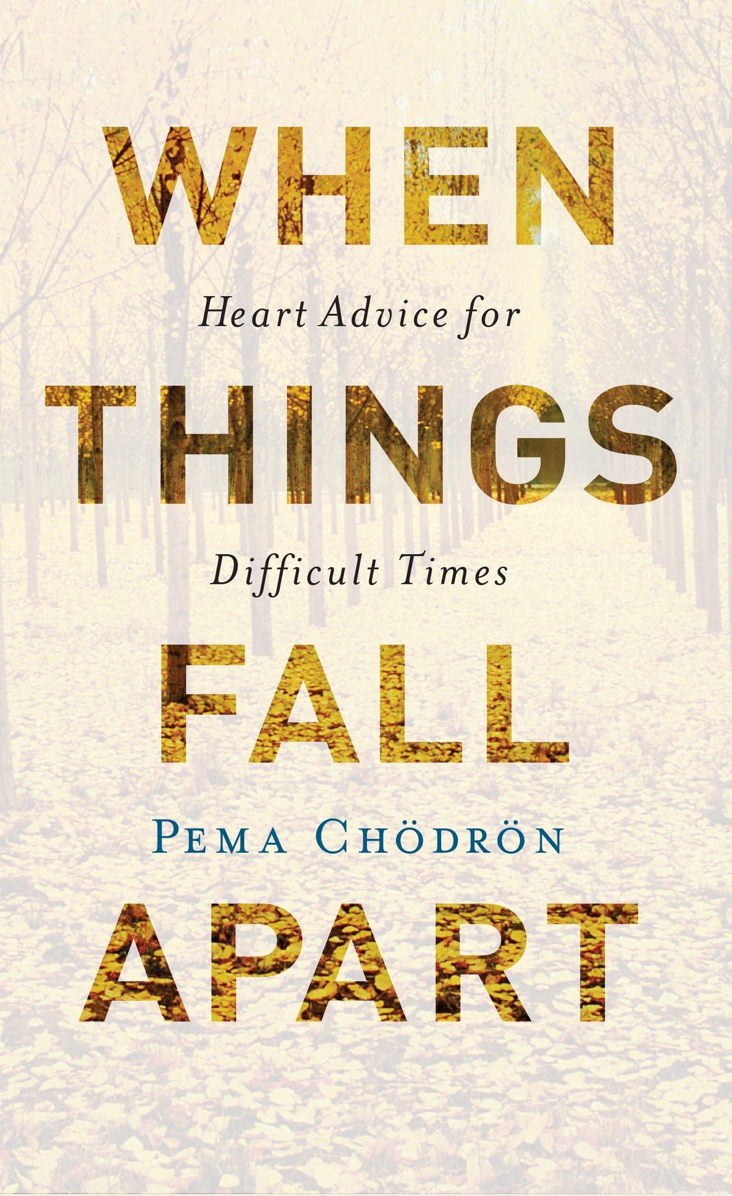 When Things Fall Apart: Heart Advice for Difficult Times The Happy Book Stack